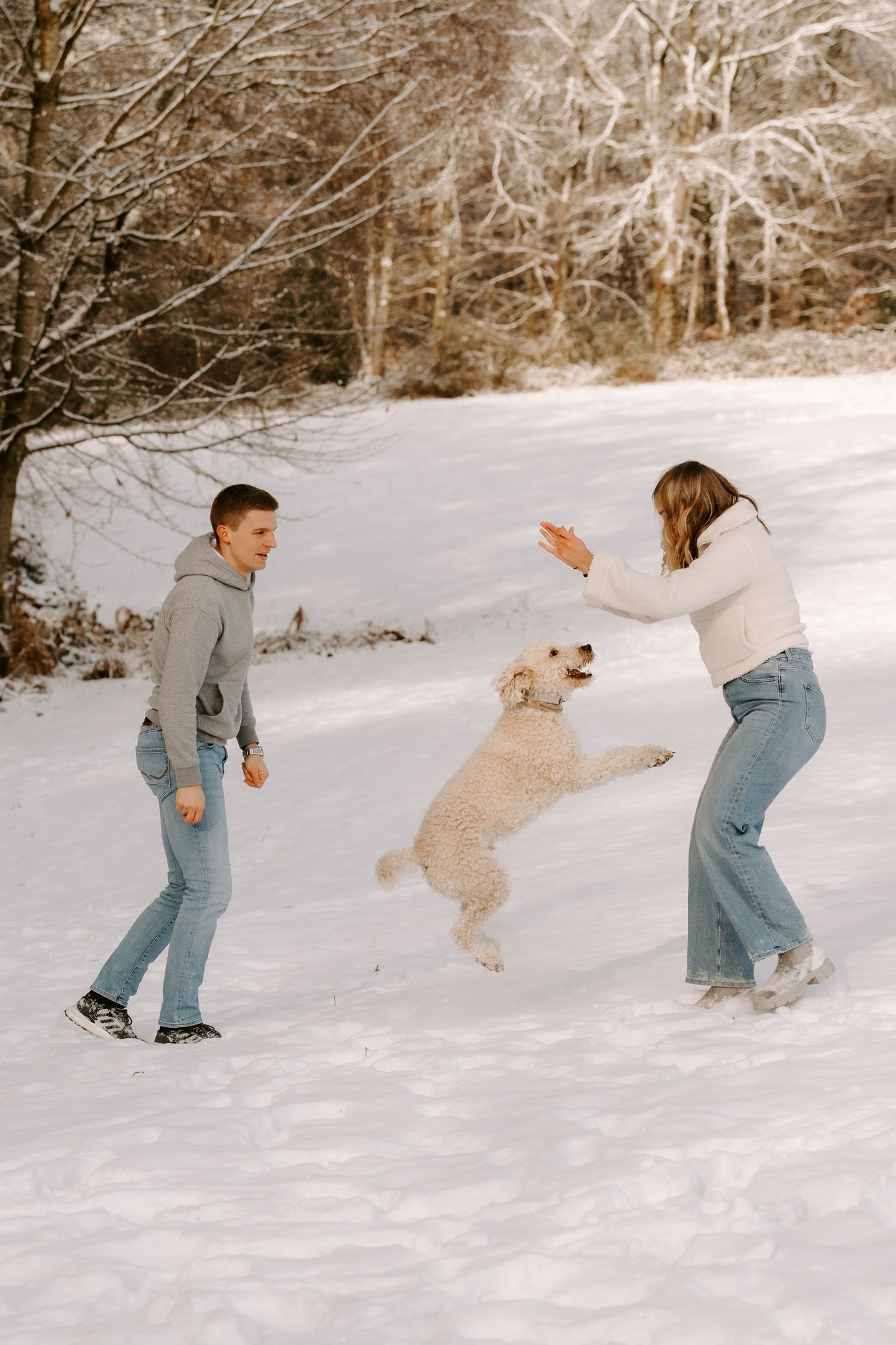 Fotoshooting mit Hund Köln (46 von 102).jpg