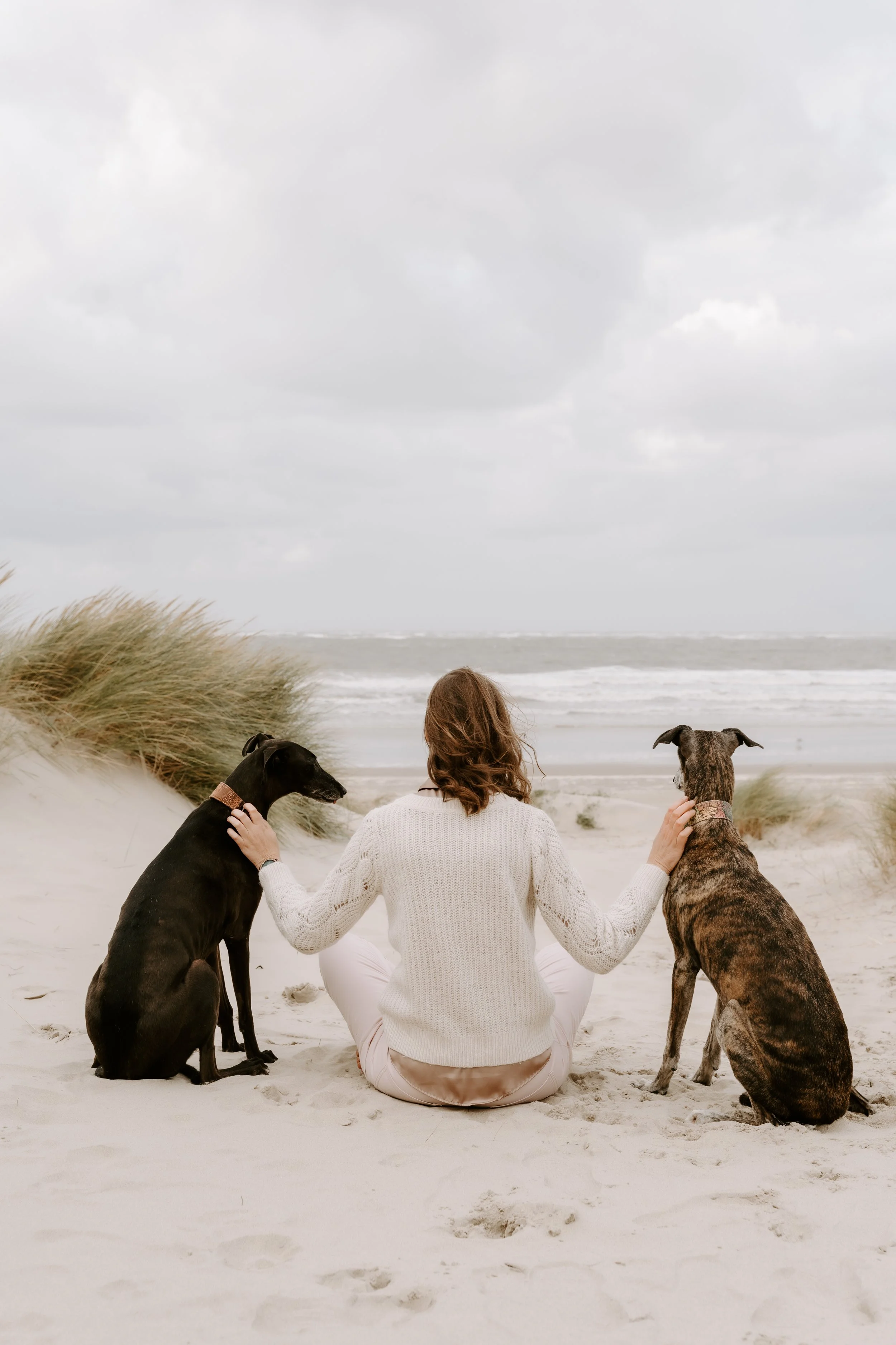 Hundefotografie Holland (4 von 10).jpg