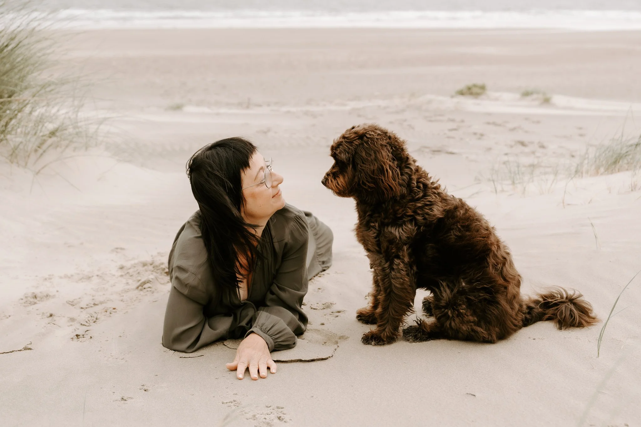 Hundefotos Holland am Strand(28 von 39).jpg
