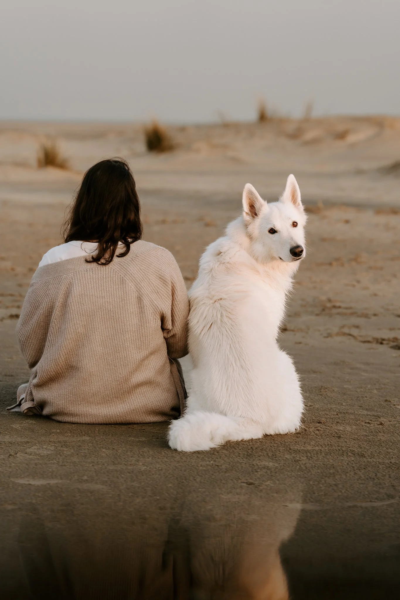 Hundefotografie Holland (8 von 12).jpg