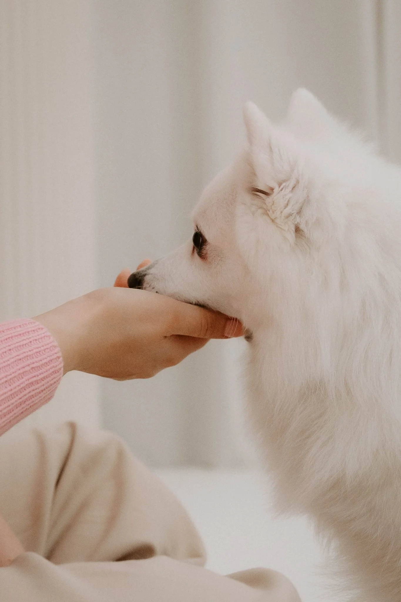 Babybauchshooting Köln (16 von 20).jpg