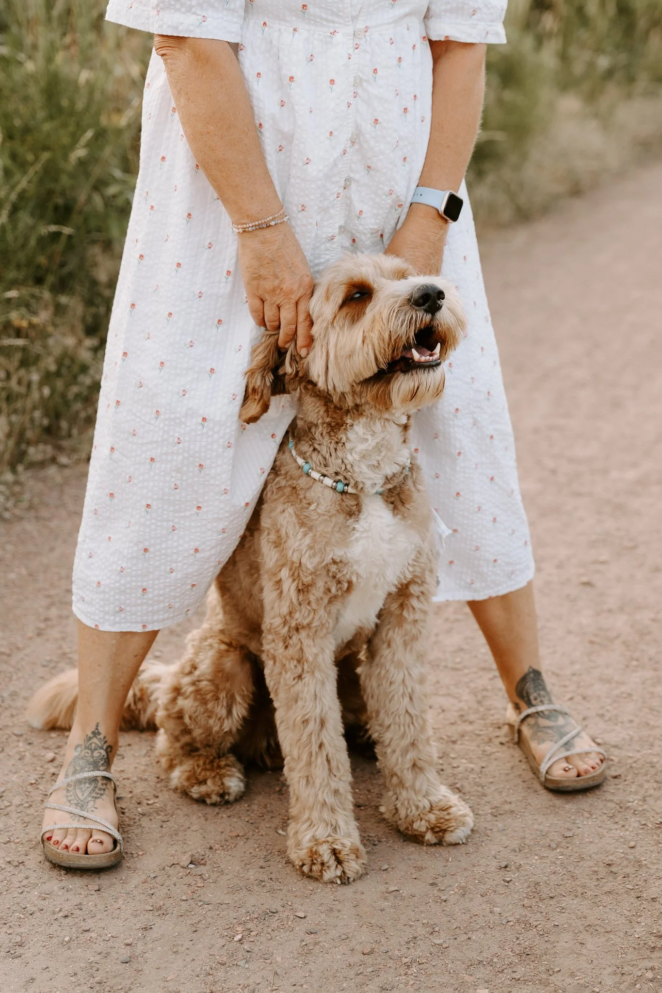Hundefotografie outdoor Köln (47 von 101).jpg