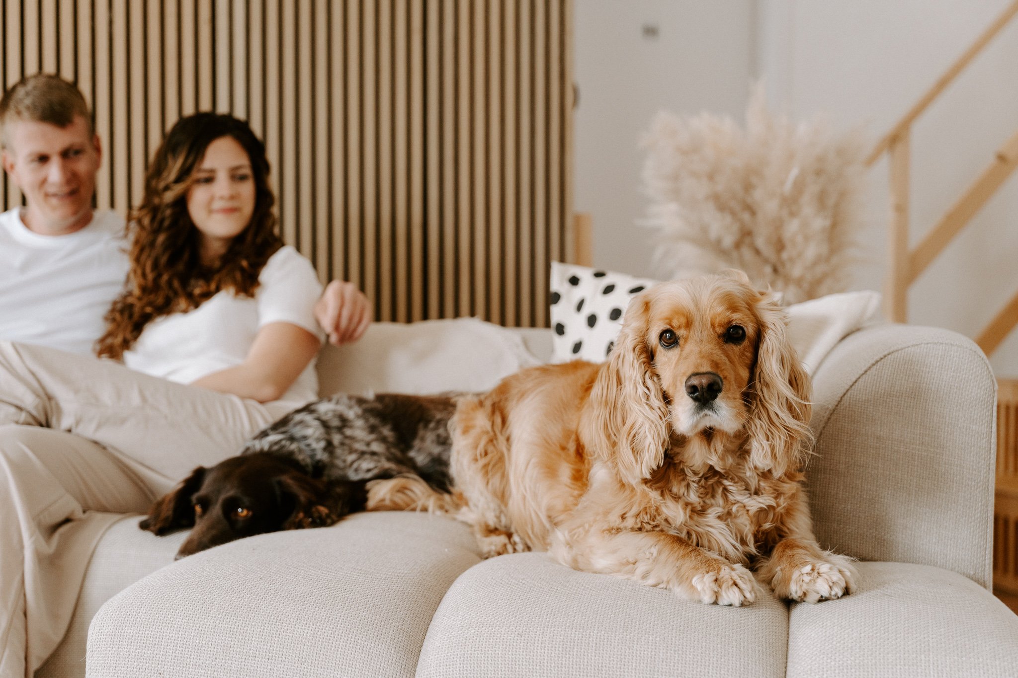 Familienshooting mit Hund Köln (21 von 41).jpg