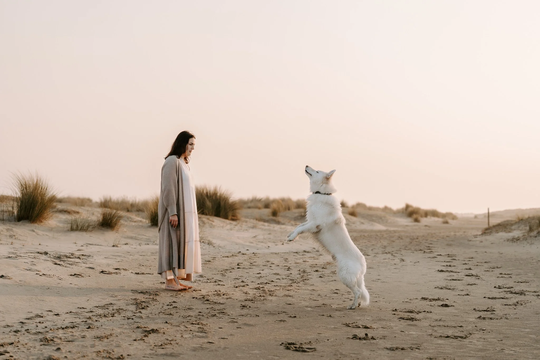 Hundefotografie Holland (10 von 12).jpg