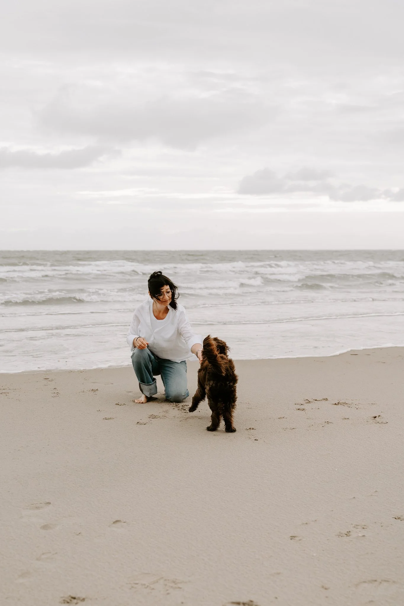 Hundefotos Holland am Strand(5 von 39).jpg