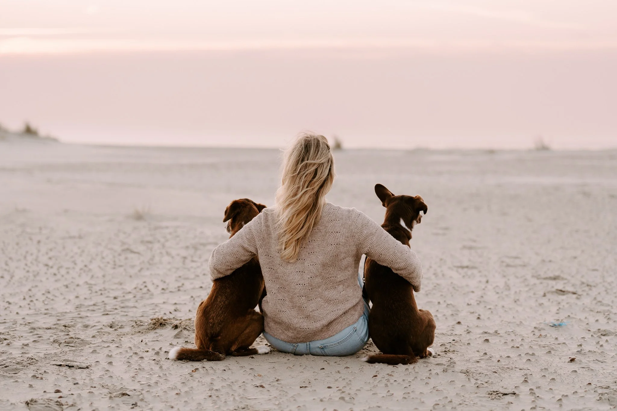 Hundefotografie Holland (12 von 12).jpg