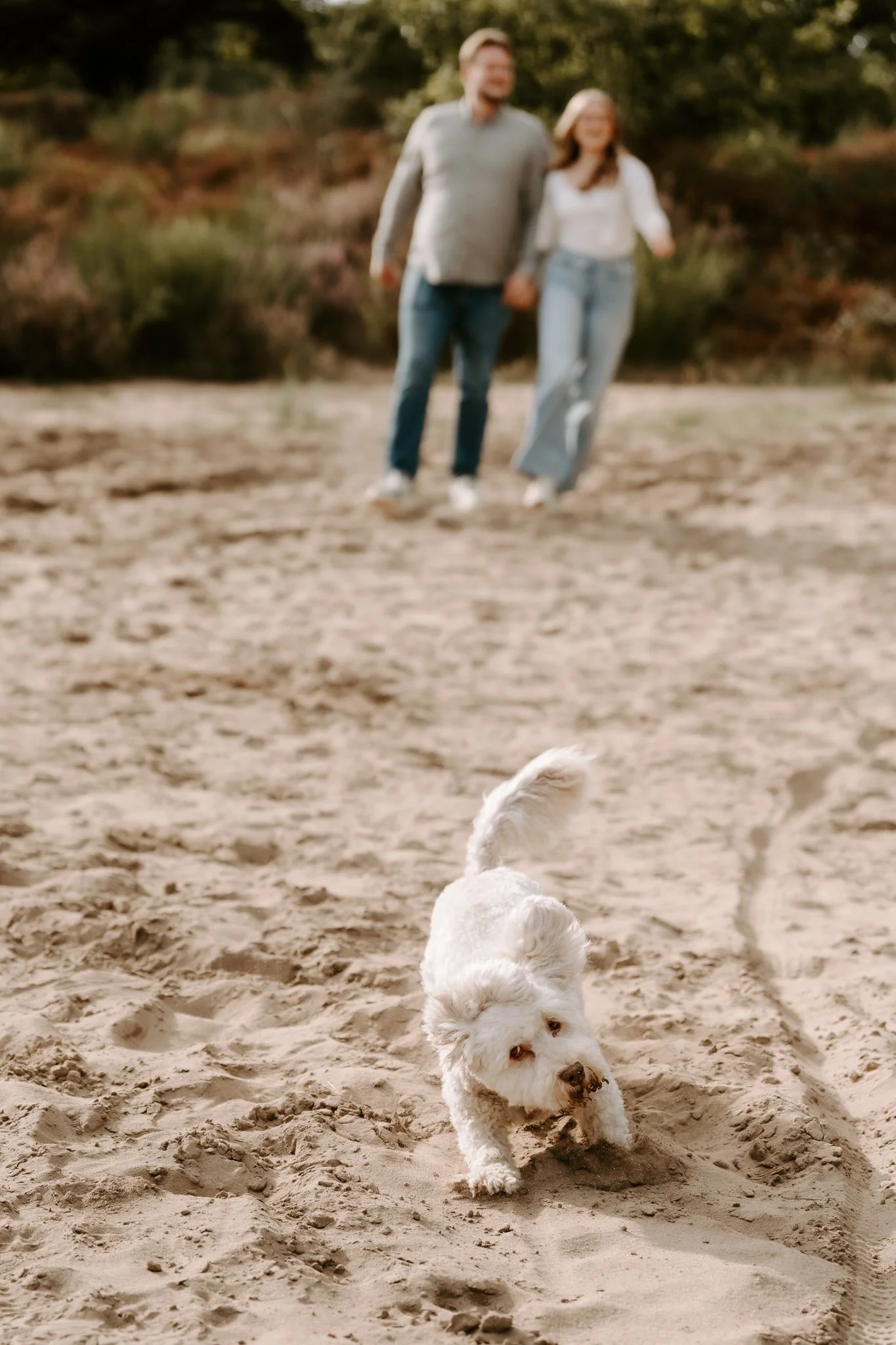 Hundefotografie Köln outdoor (6 von 130).jpg