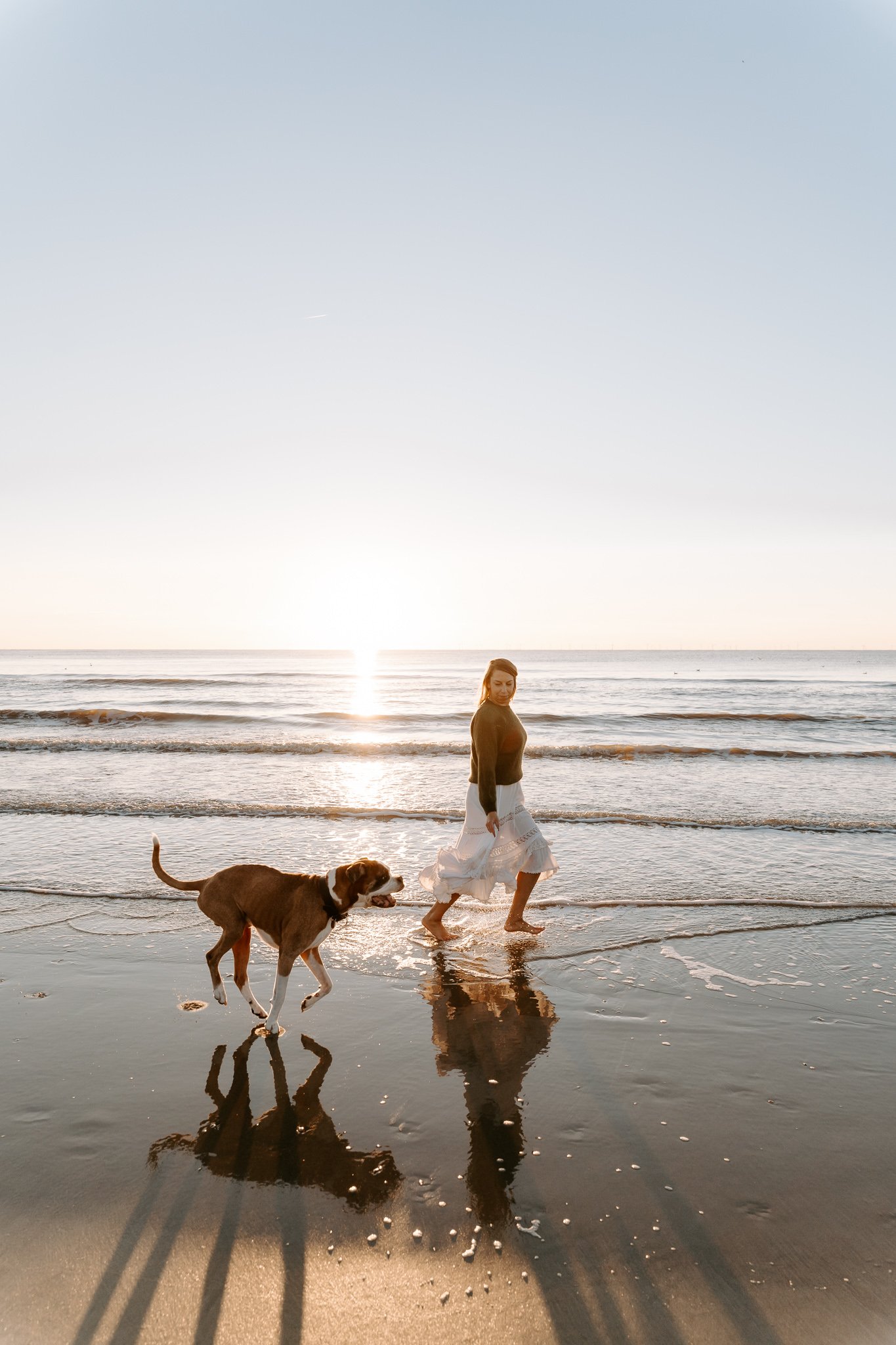 Hundefotografie Holland(7 von 10).jpg