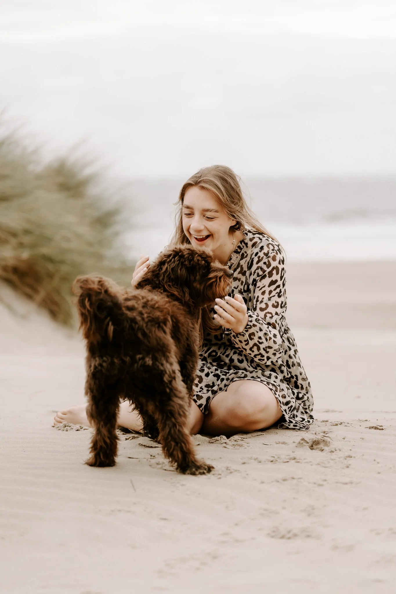Hundefotos Holland am Strand(22 von 39).jpg