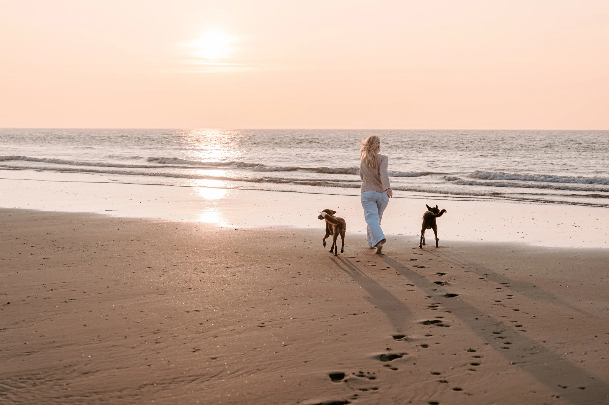 Hundefotografie Holland (10 von 12).jpg