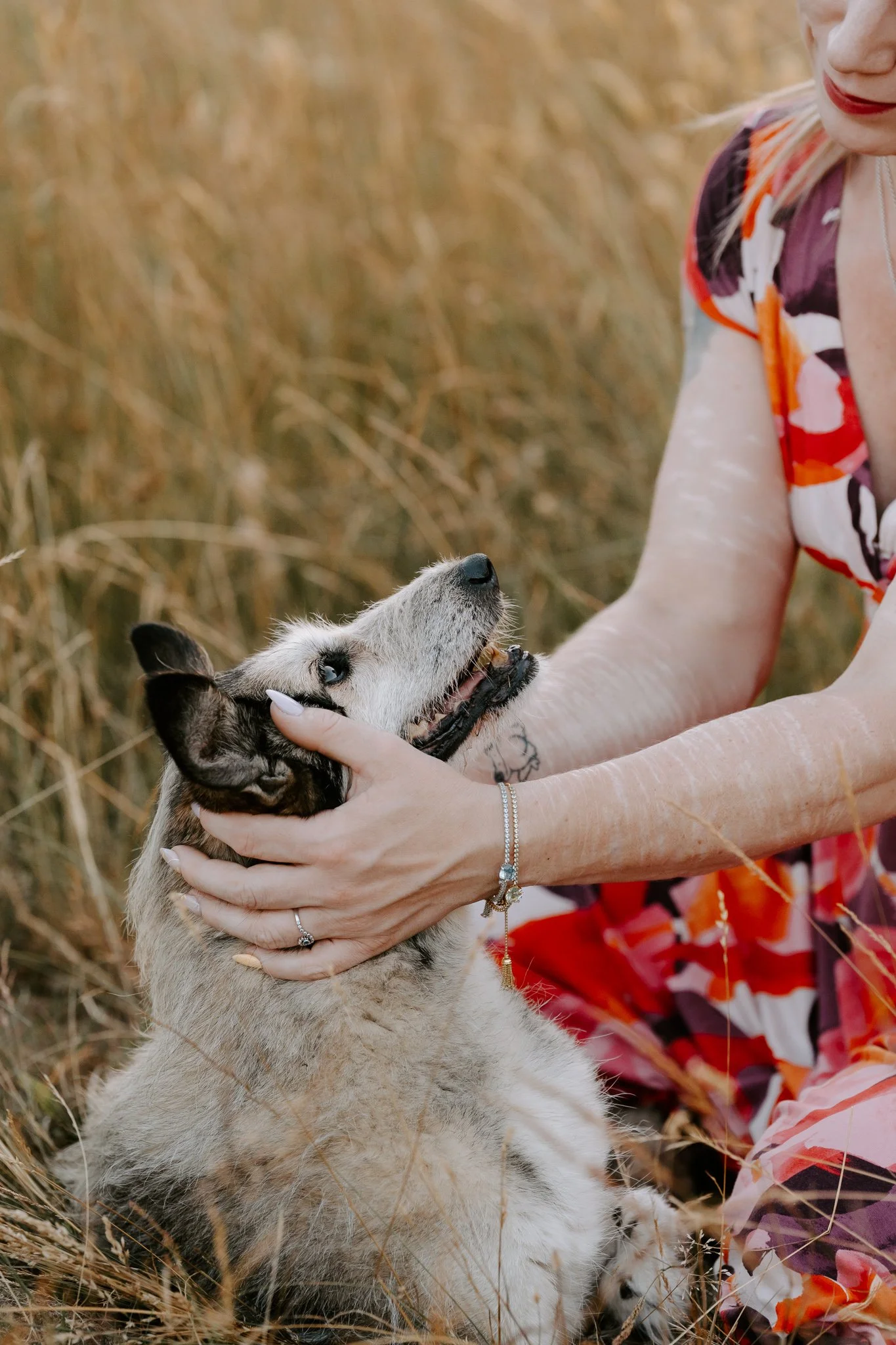 Hundefotografie Köln - Seniorhunde (30 von 35).jpg