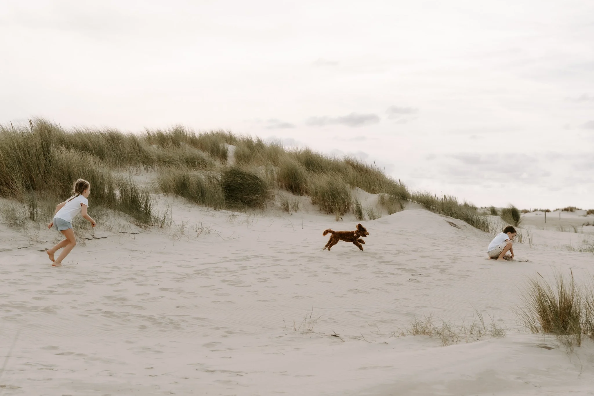 Familienshooting mit Hund in Holland am Strand (2 von 56).jpg