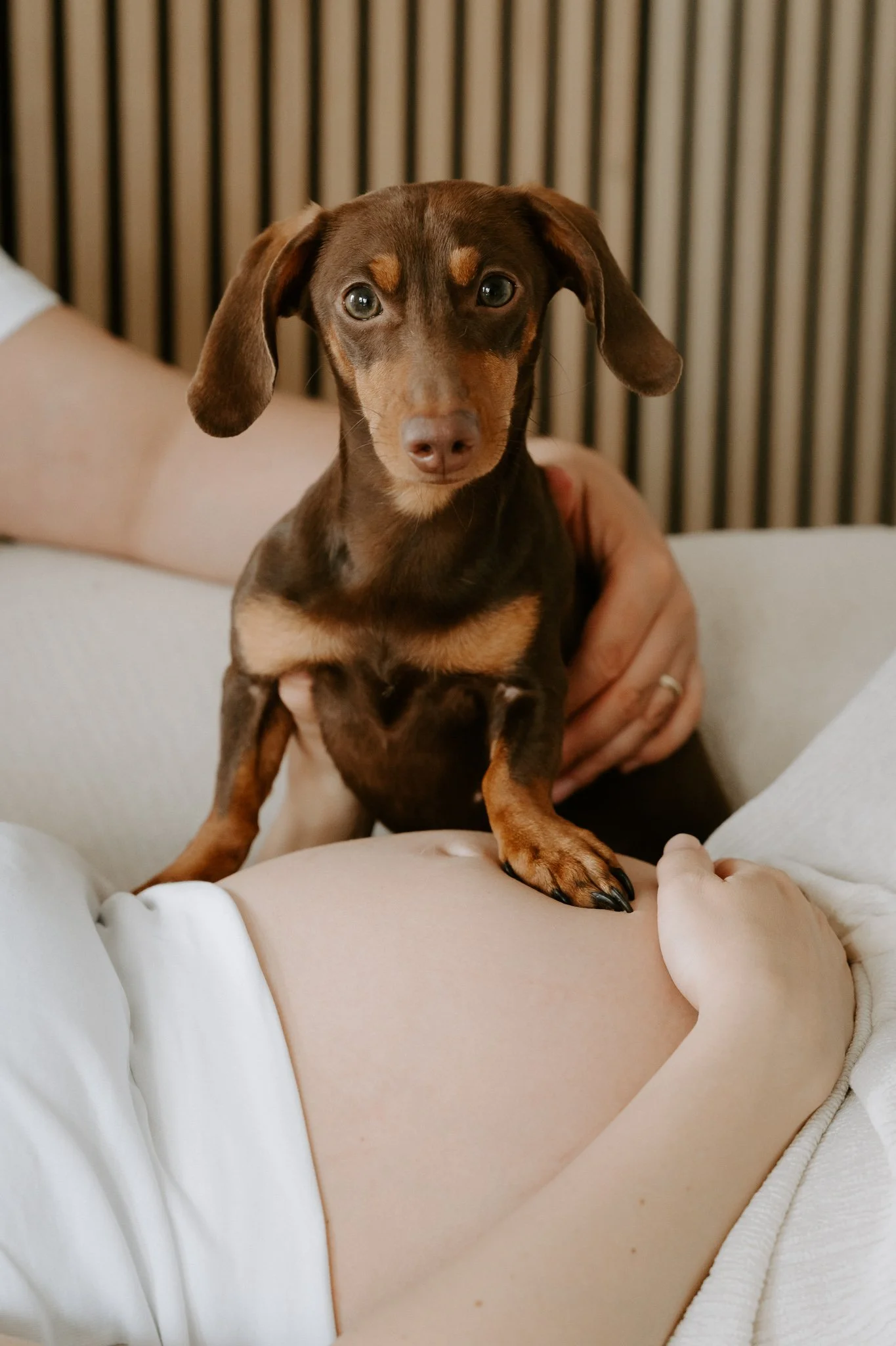 Babybauchshooting mit Hund Köln(33 von 65).jpg