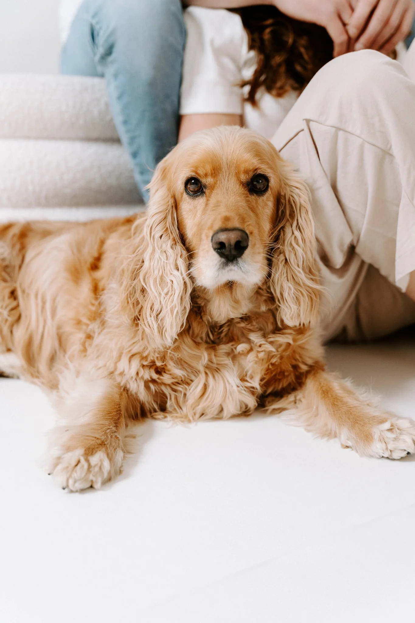 Familienshooting mit Hund Köln (2 von 41).jpg