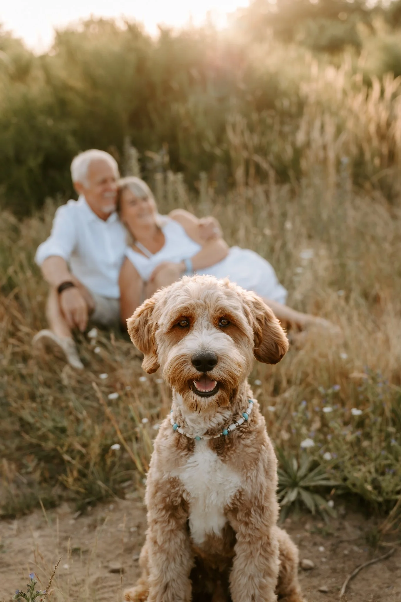 Hundefotografie outdoor Köln (59 von 101).jpg
