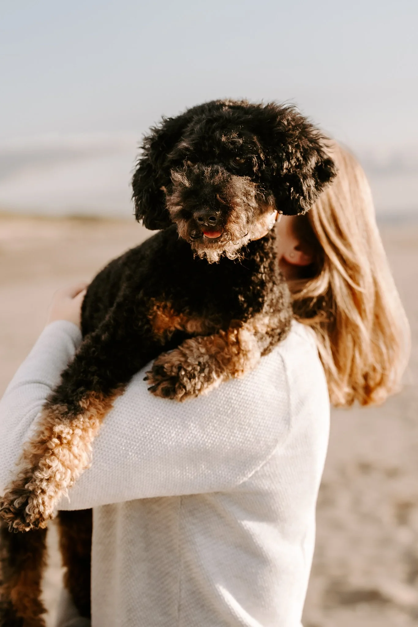 Hundefotografie Holland 7 von 22).jpg