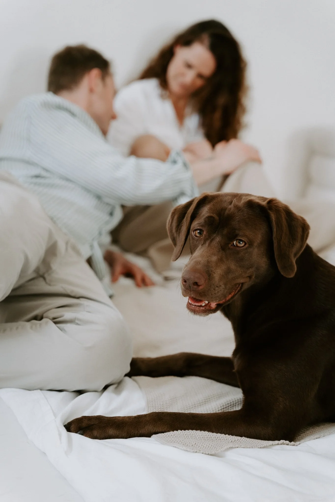 Familienshootoing mit Hund Köln - Bohoandclassy Fotografie(20 von 28).jpg