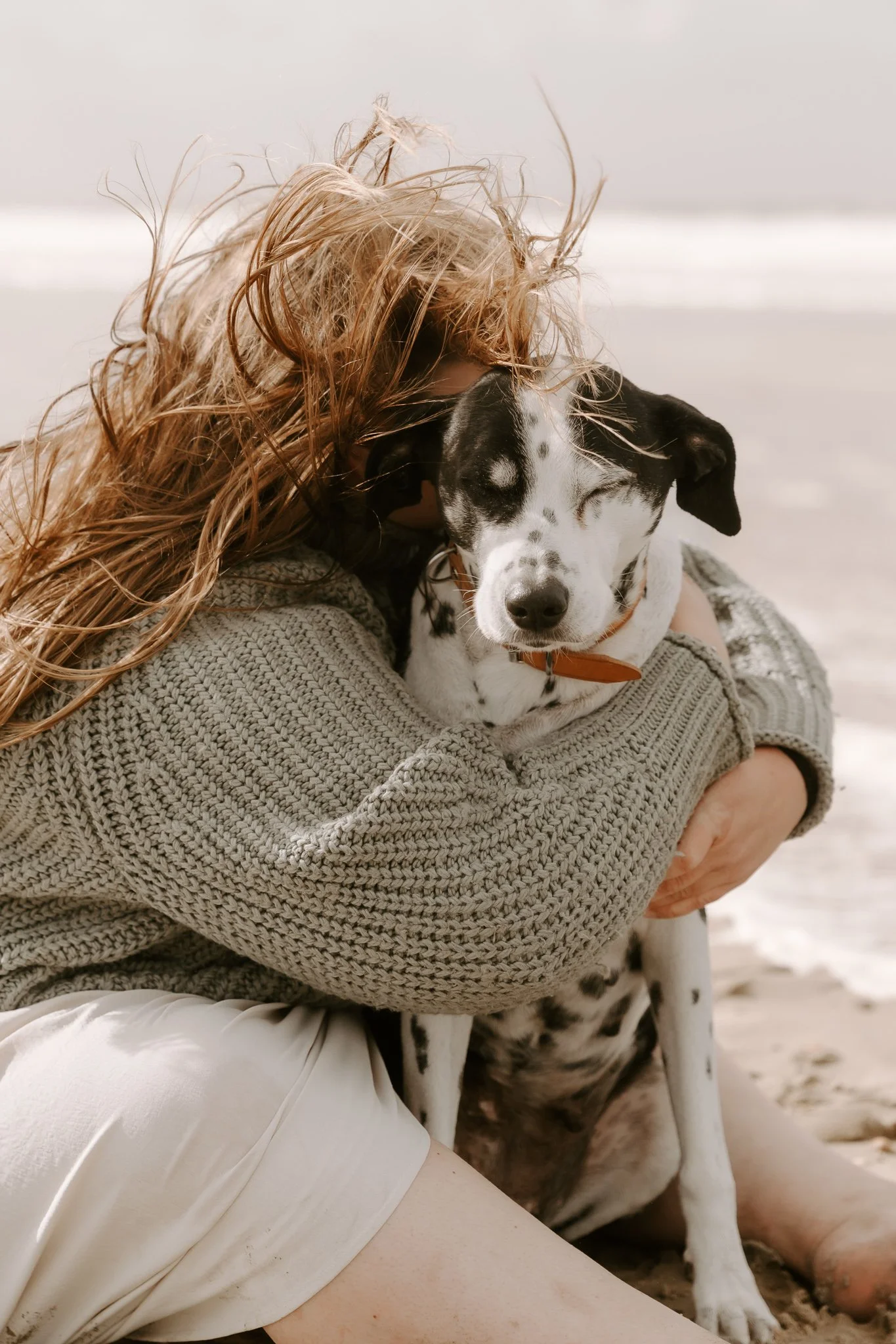 Hundeshooting Holland (22 von 34).jpg