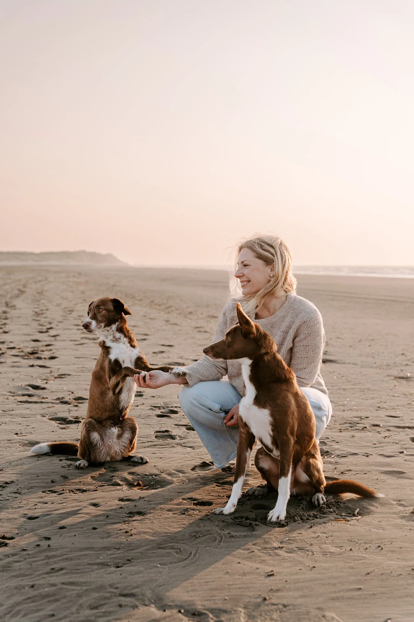 Hundefotografie Holland (7 von 12).jpg