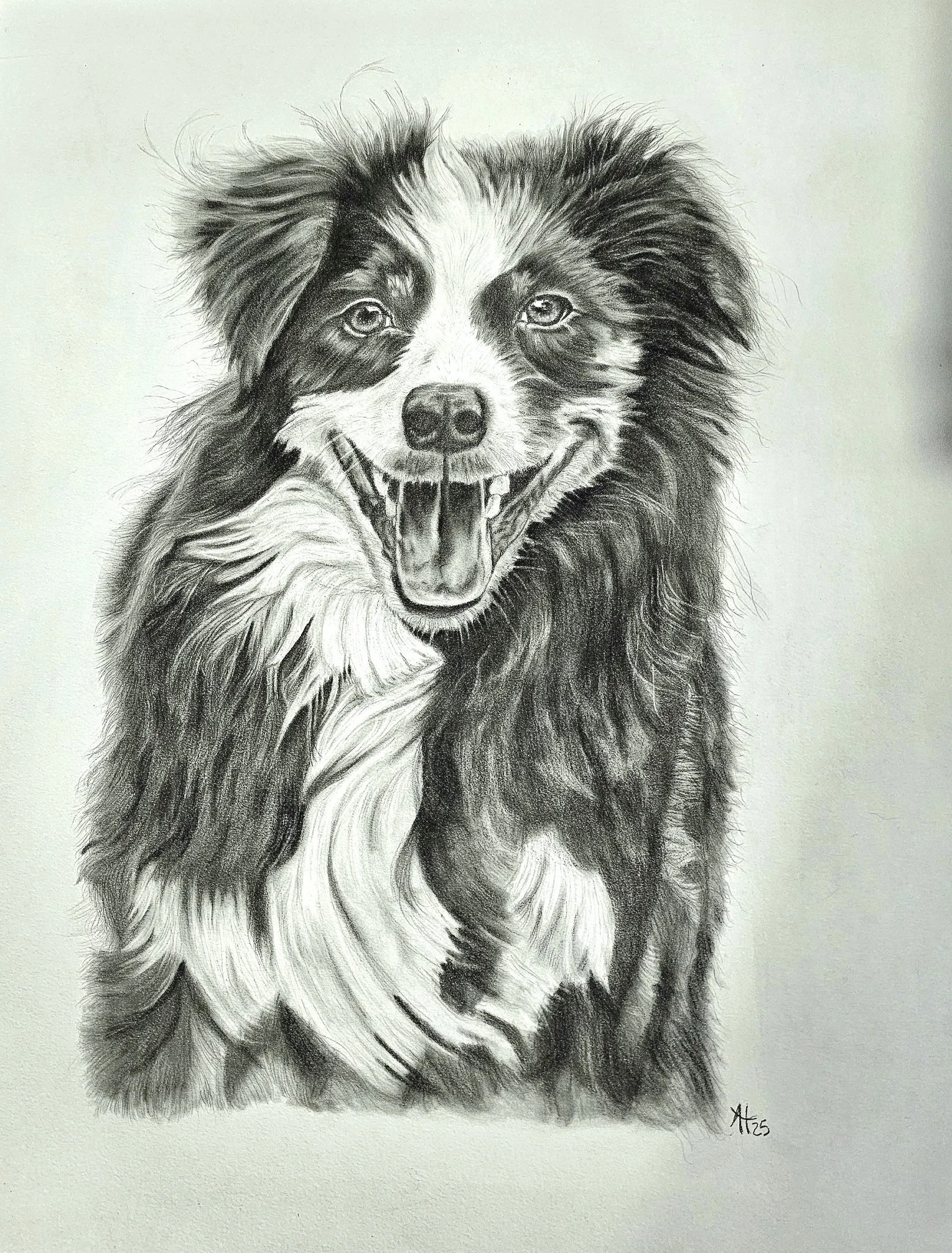 Black and white sketch of a happy dog, possibly a Border Collie, with a joyful expression and fluffy fur.