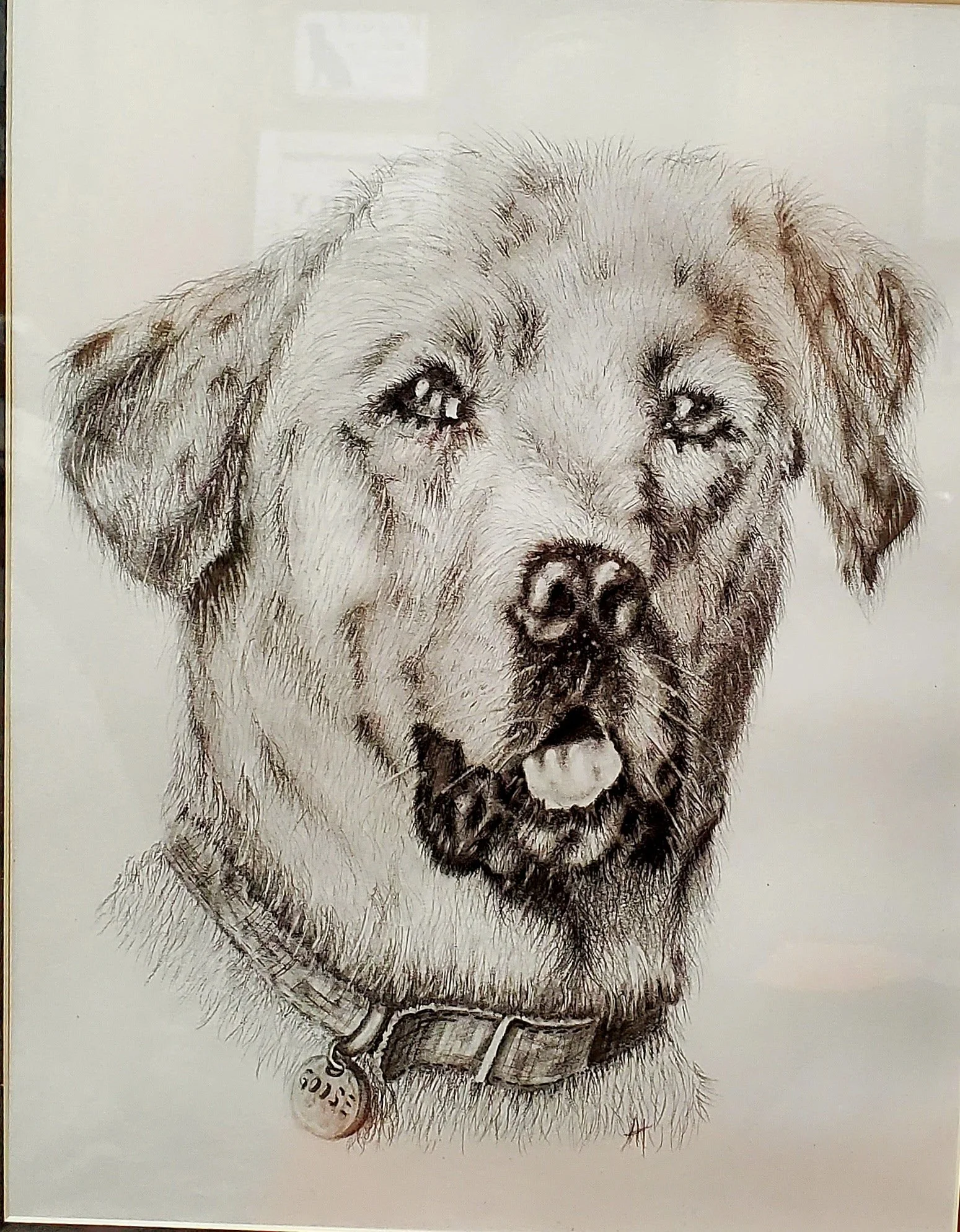 A detailed pencil drawing of a labrador retriever's face, showing the dog with its tongue slightly out, wearing a collar with a round tag.