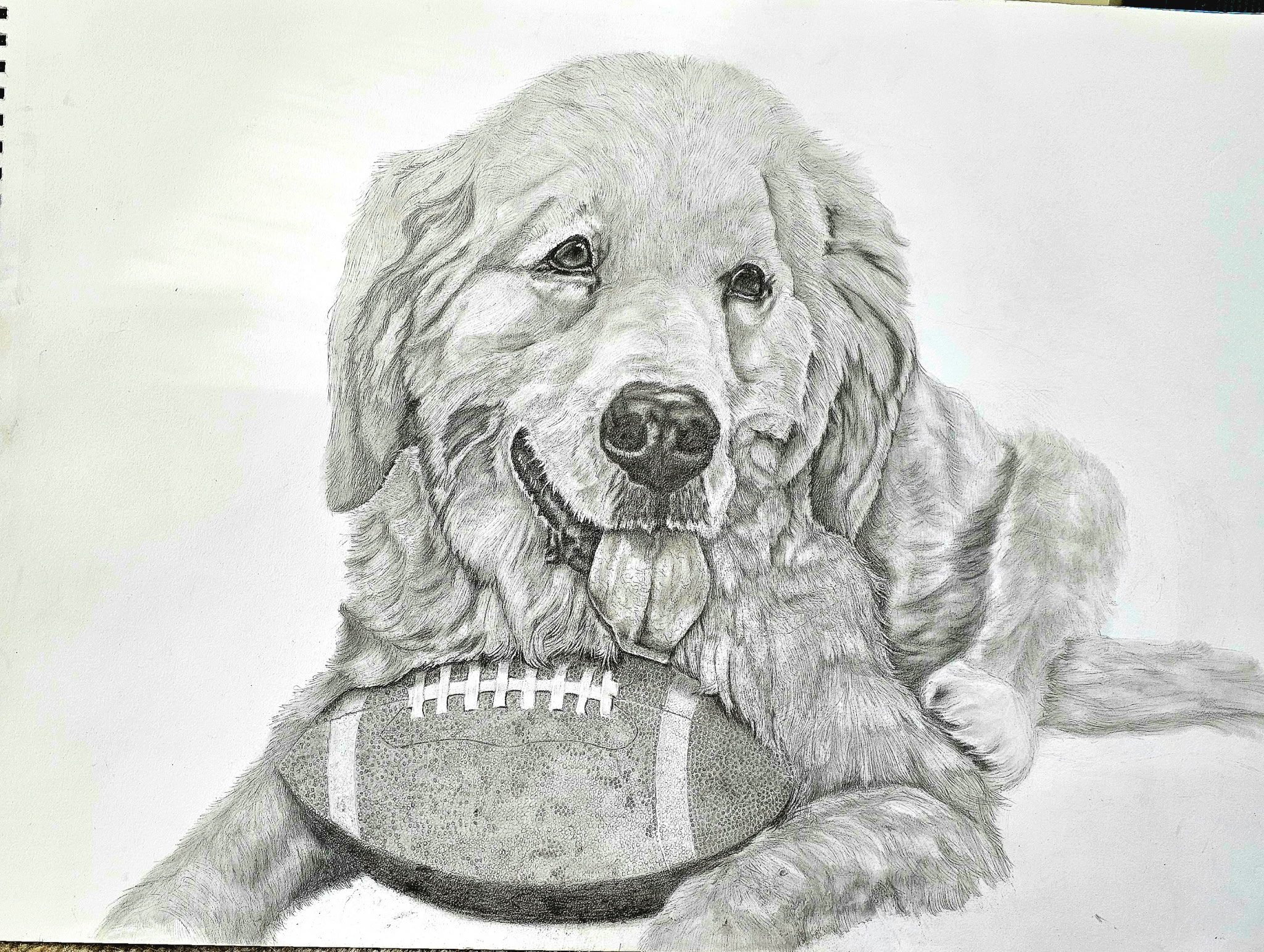 A detailed pencil drawing of a happy dog with a football in its paws.