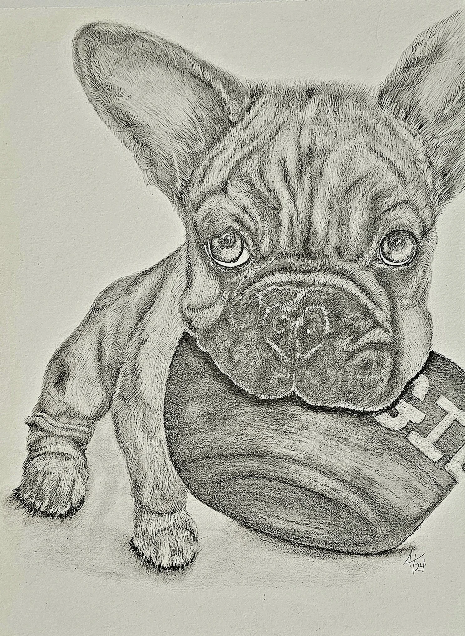A detailed pencil sketch of a French Bulldog puppy with large ears, sitting next to a football with the word 'FIGHT' written on it.