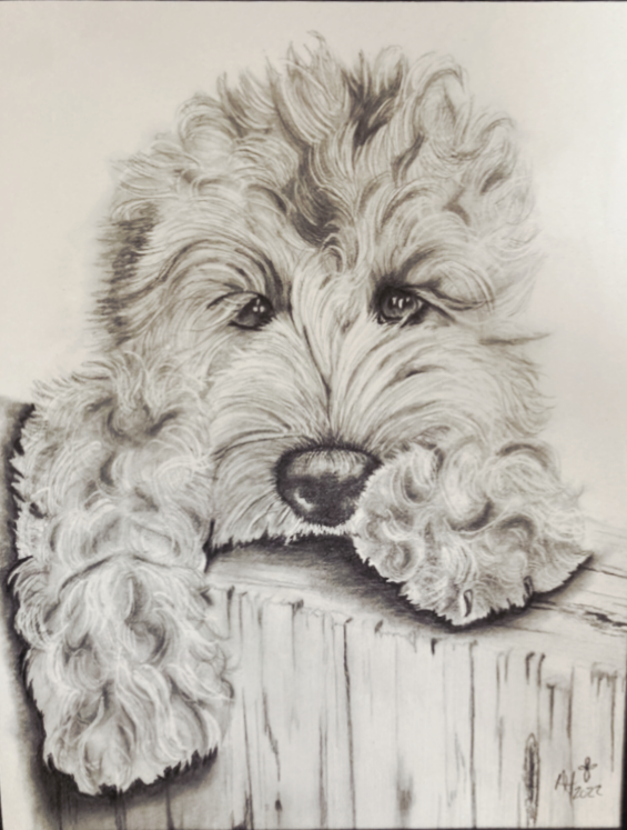 Drawing of a fluffy puppy resting its chin on a wooden surface, with detailed fur and expressive eyes.