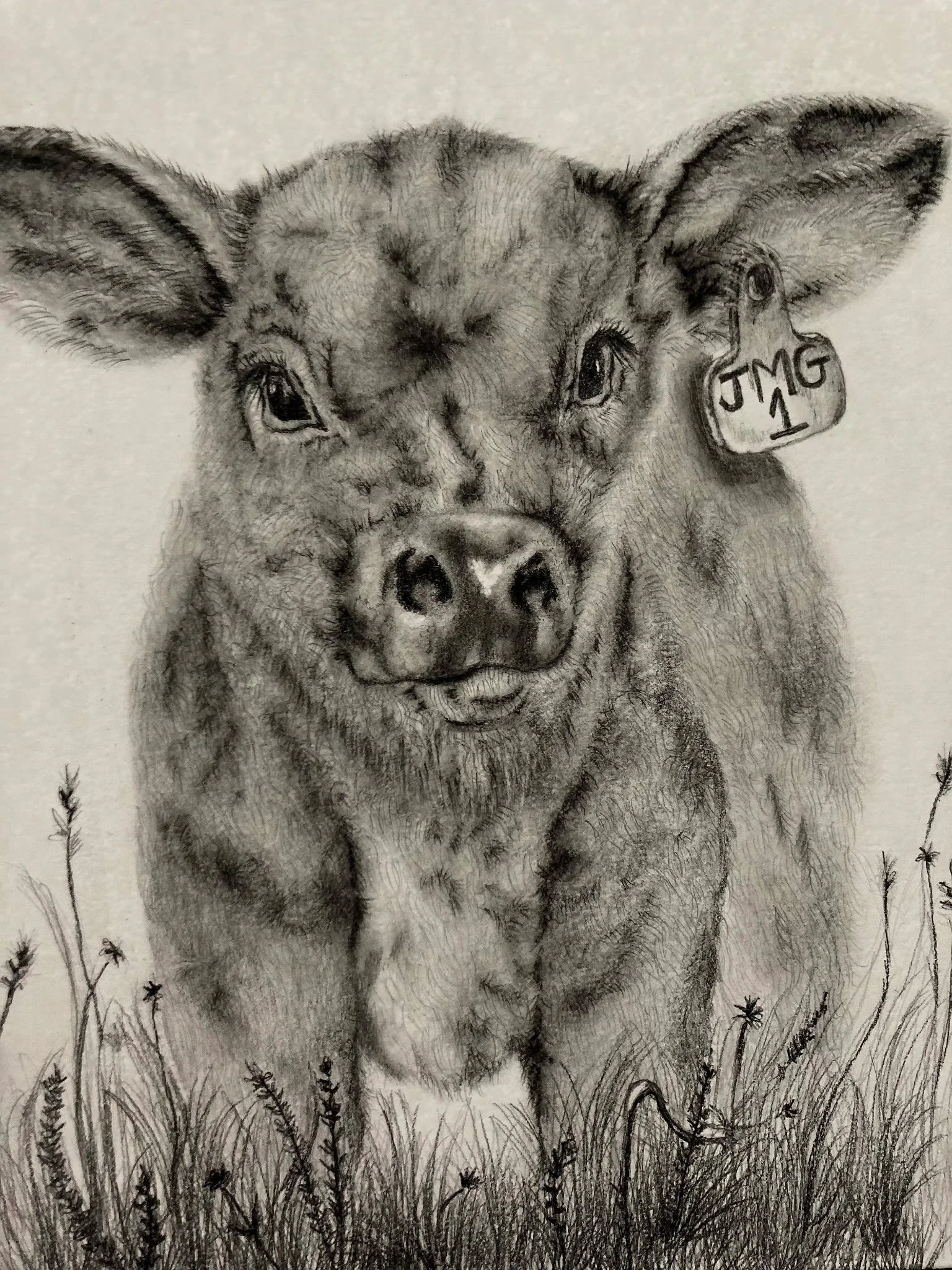 A detailed pencil sketch of a pig standing in grass, with an ear tag reading "JMG 1."