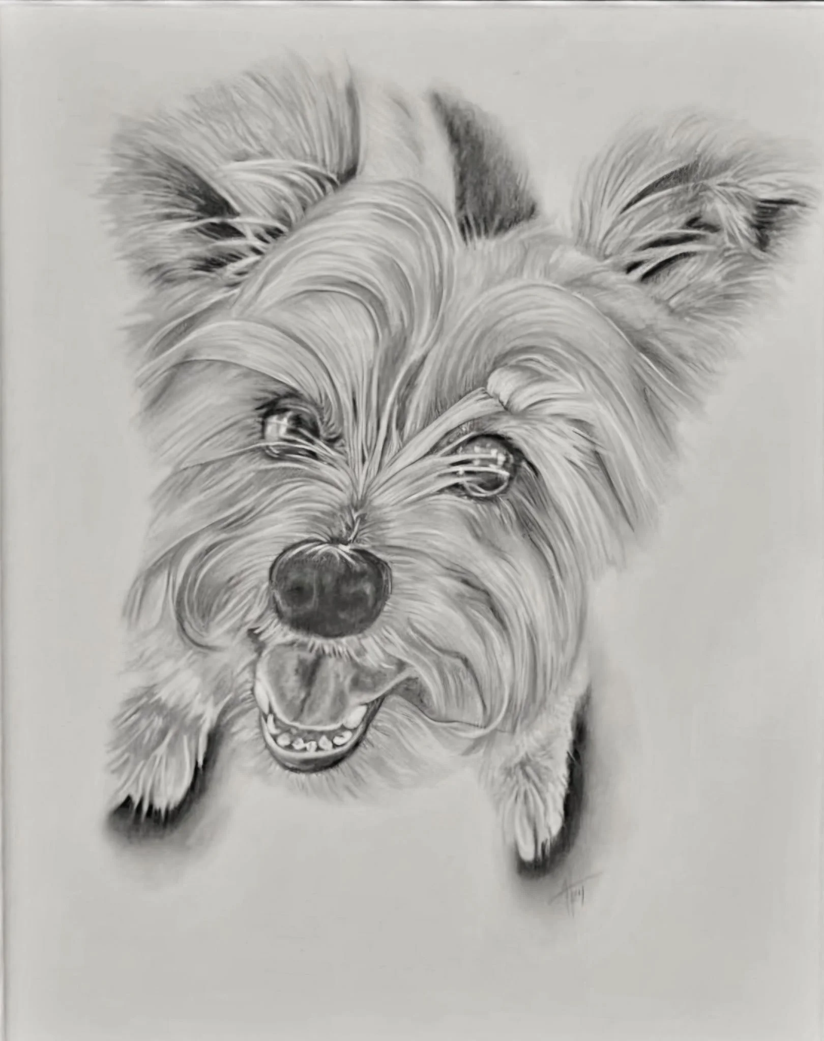Black and white drawing of a happy, fluffy dog with a happy expression, showing teeth, with one eye slightly squinted.