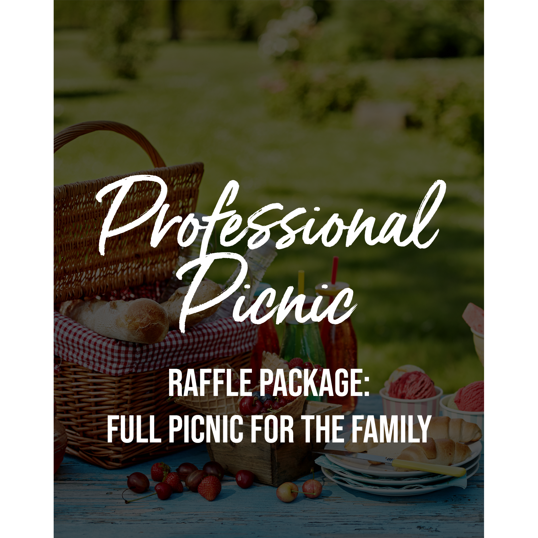 Fundraising Raffle Pro Picnic.png