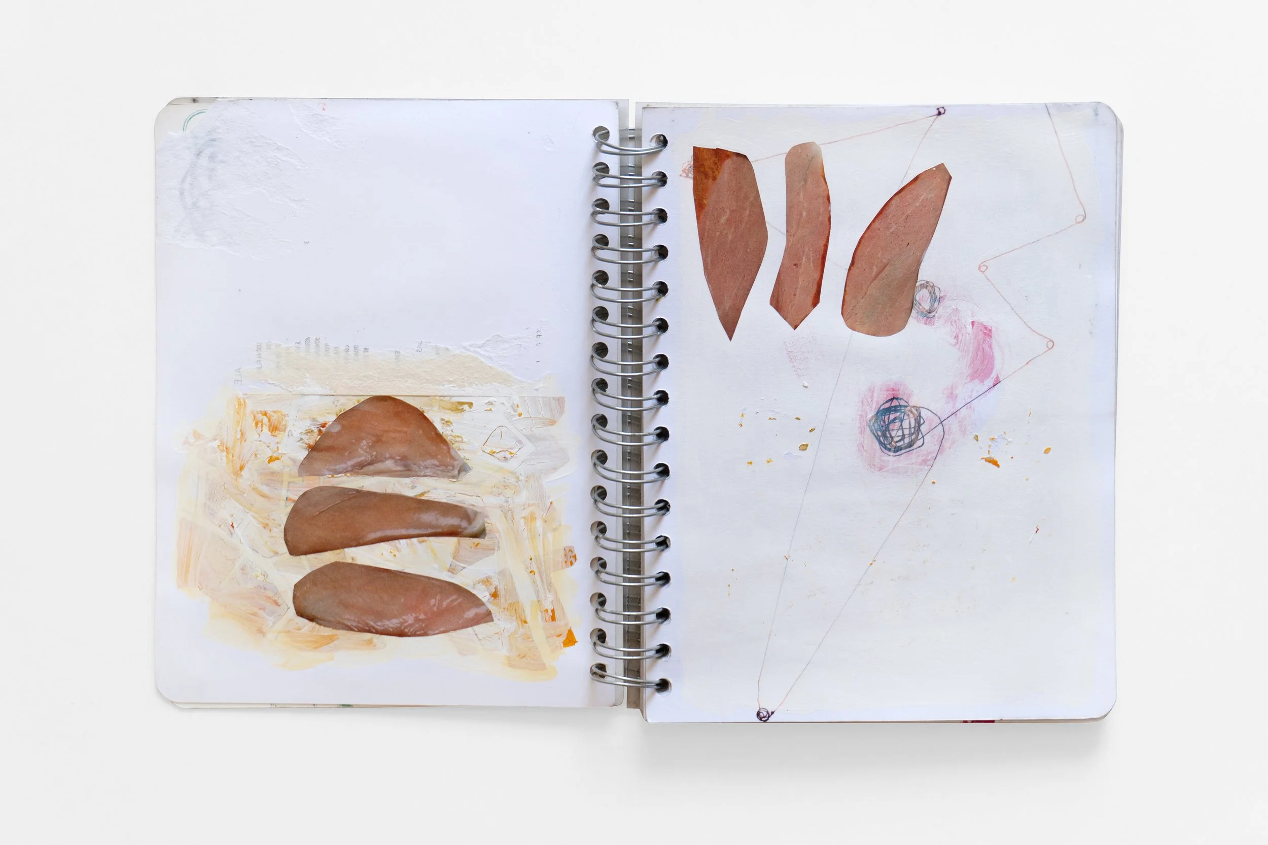 collage and painting sketchbook for painting series Menu made by Vivid Crimes