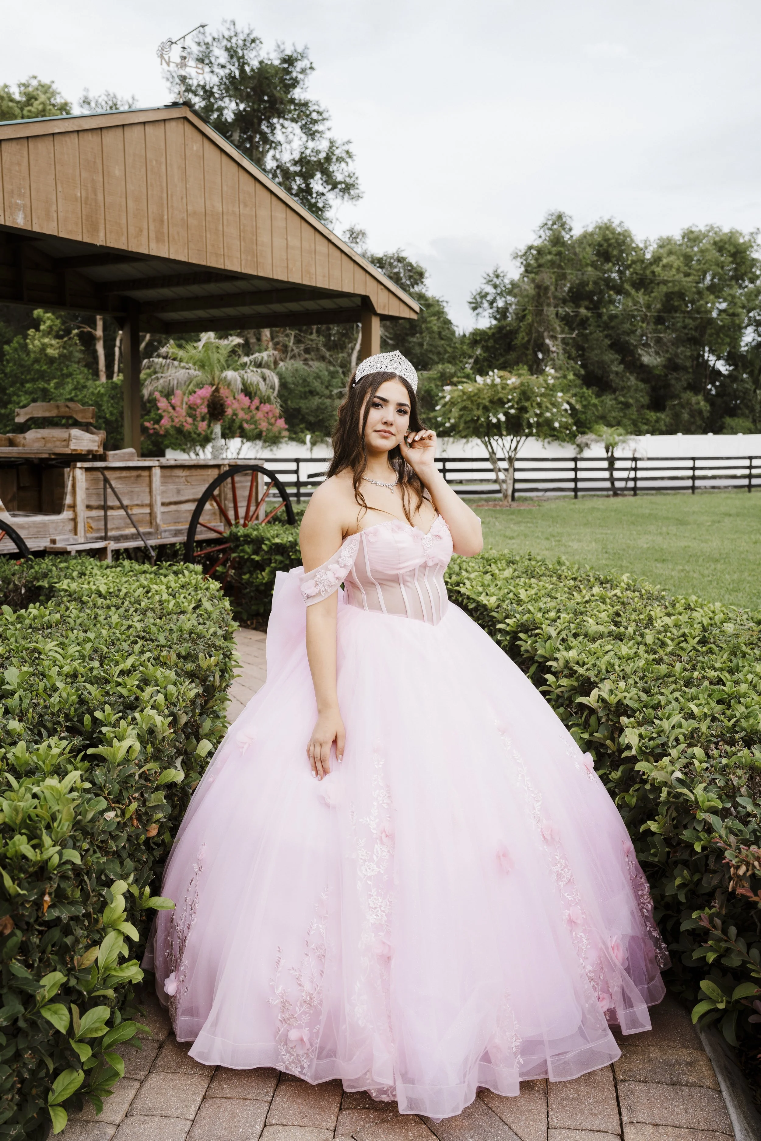 MLP00285 (1).jpg