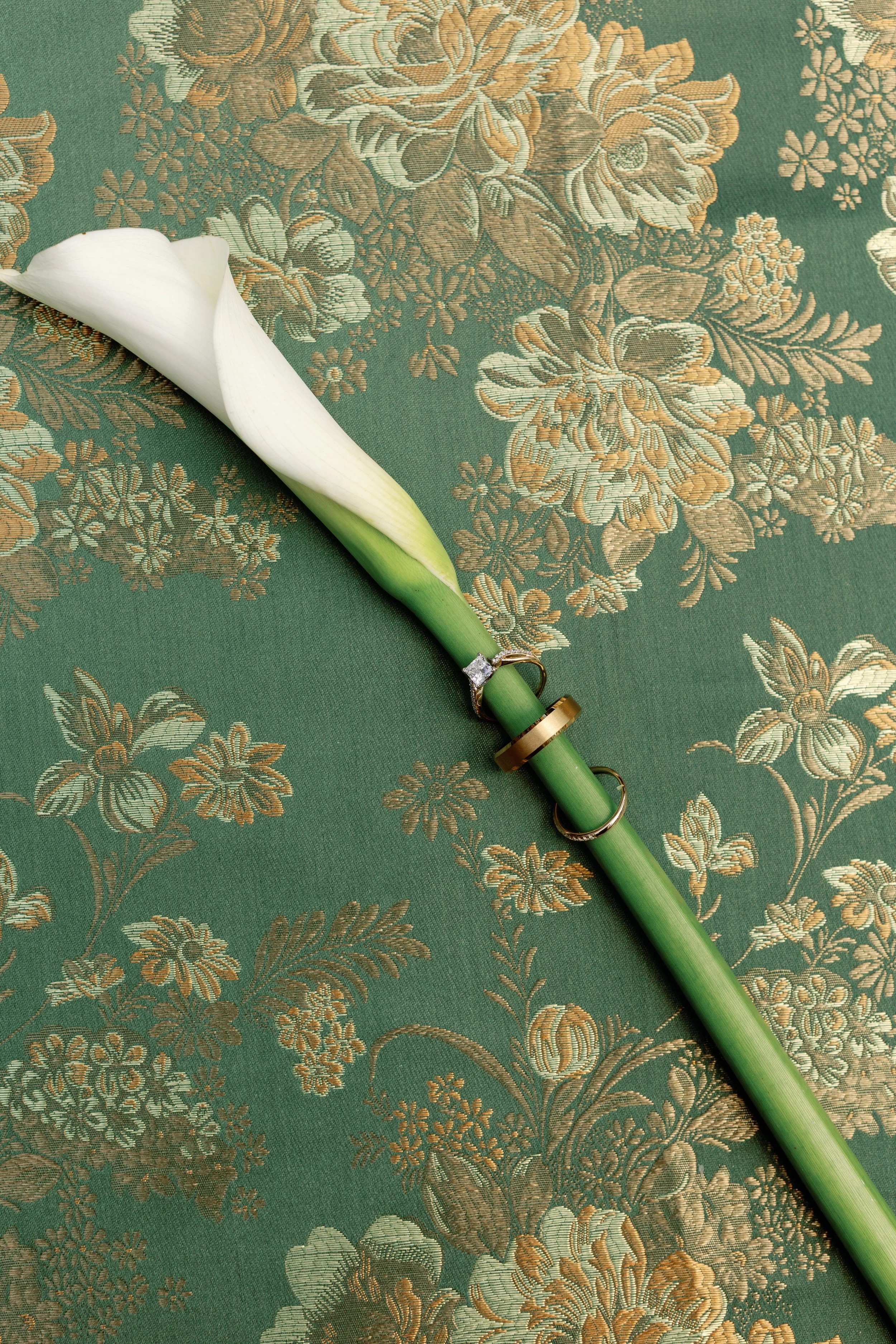 AX5A8305.jpg