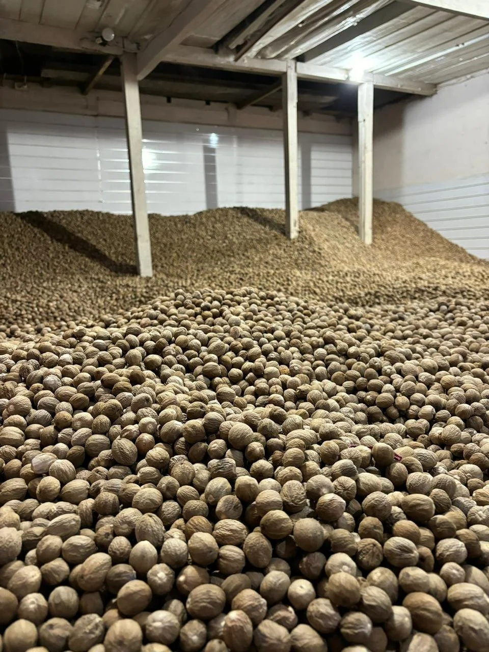 Nutmeg Warehouse in Moluccas