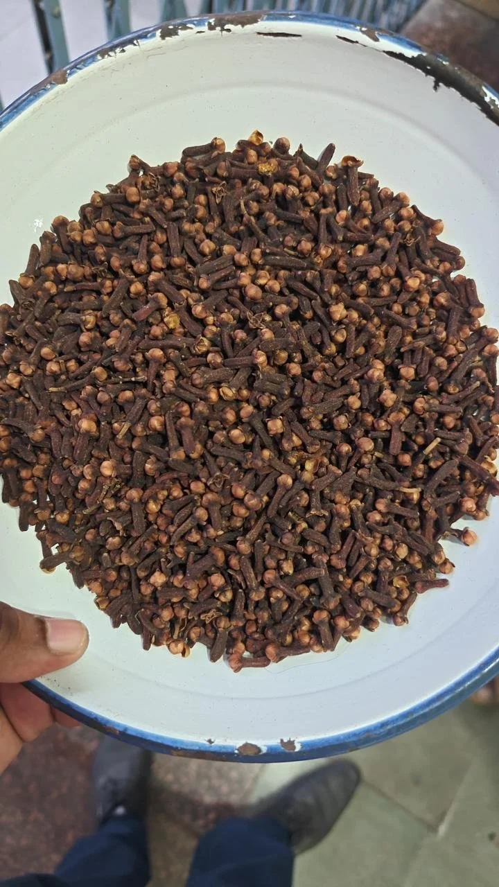 High Quality Cloves from Indonesia