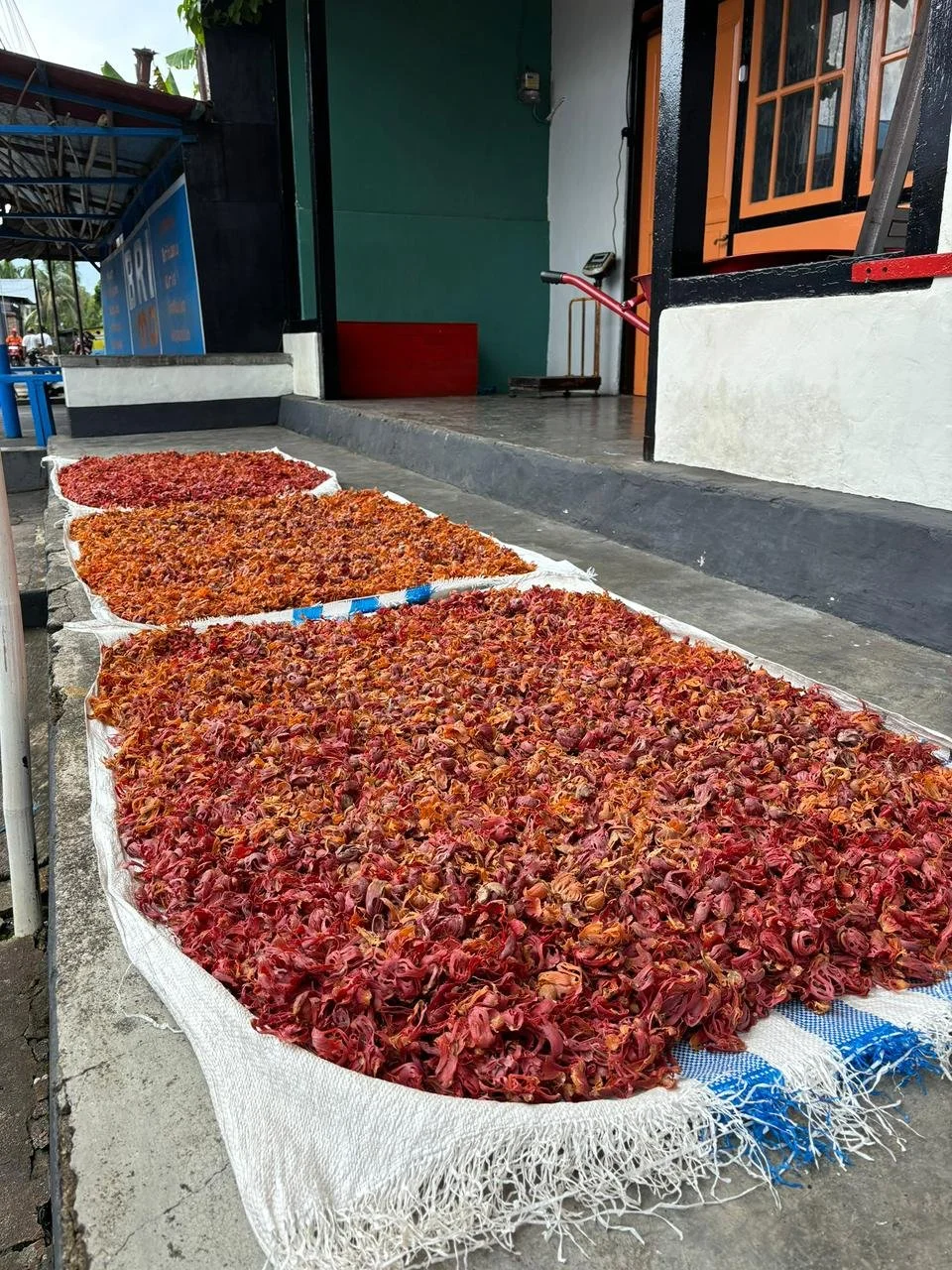 Mace drying process in the island