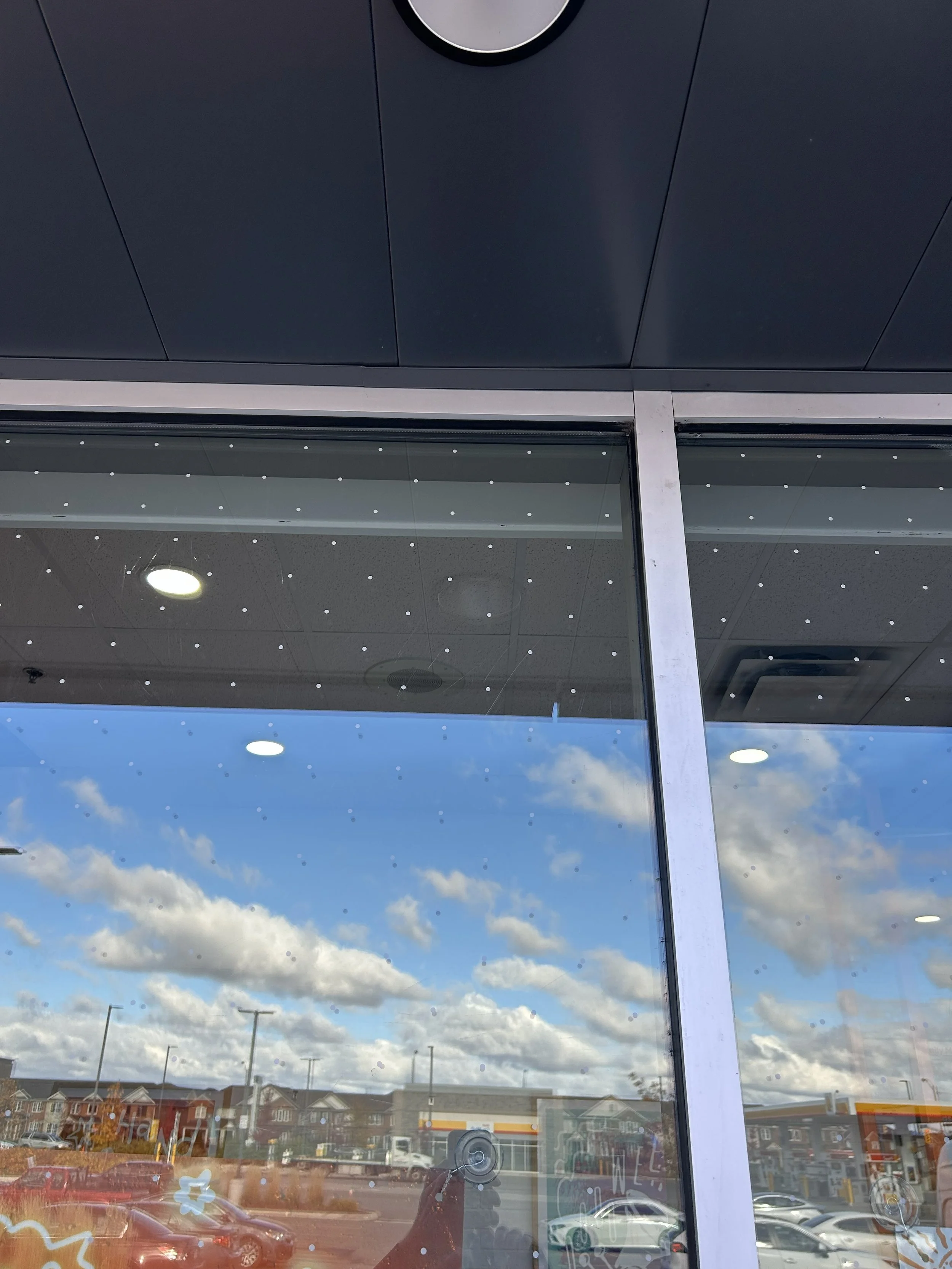 Bird friendly windows