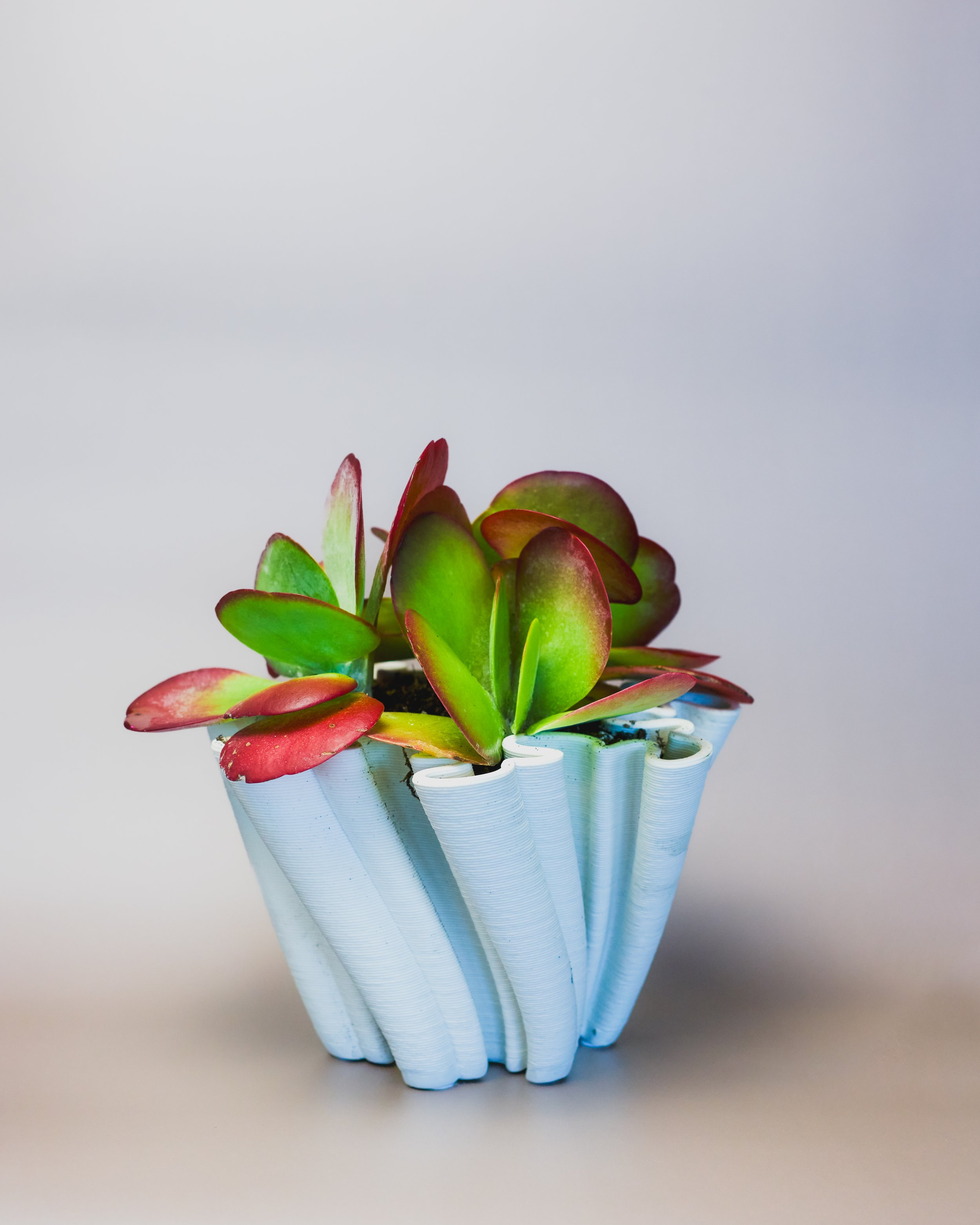 CaptureOne1543-Edit.jpg