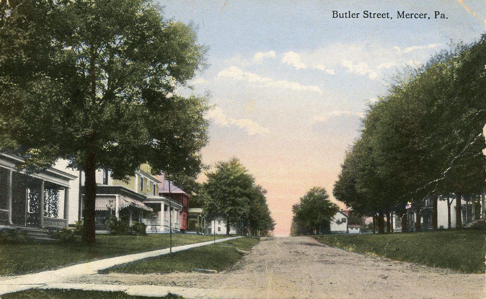 A street view of Butler Street in Mercer, Pennsylvania, with houses on both sides, large trees, and a dirt road during sunset or sunrise.