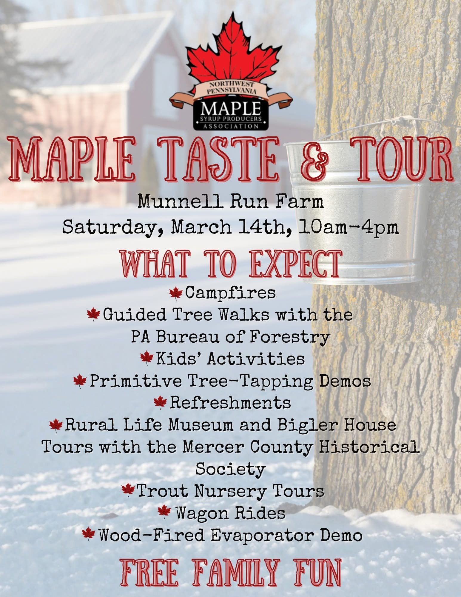 Maple Tasting Tour