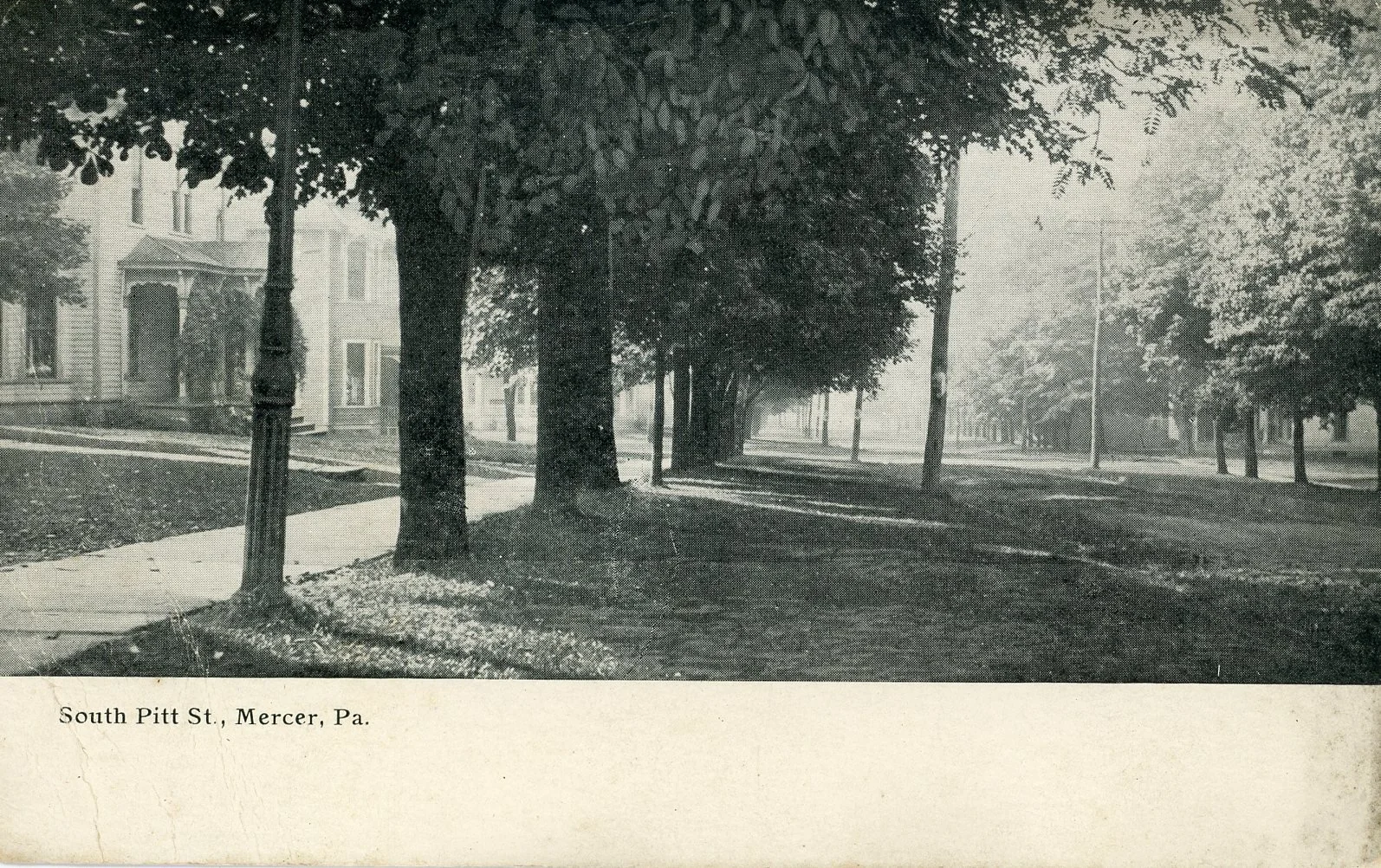 A black and white photograph of a tree-lined street, with a sidewalk on the left and a grassy area on the right. There are houses partially visible on the left side and a street light pole near the sidewalk. The scene appears to be foggy or misty, gi