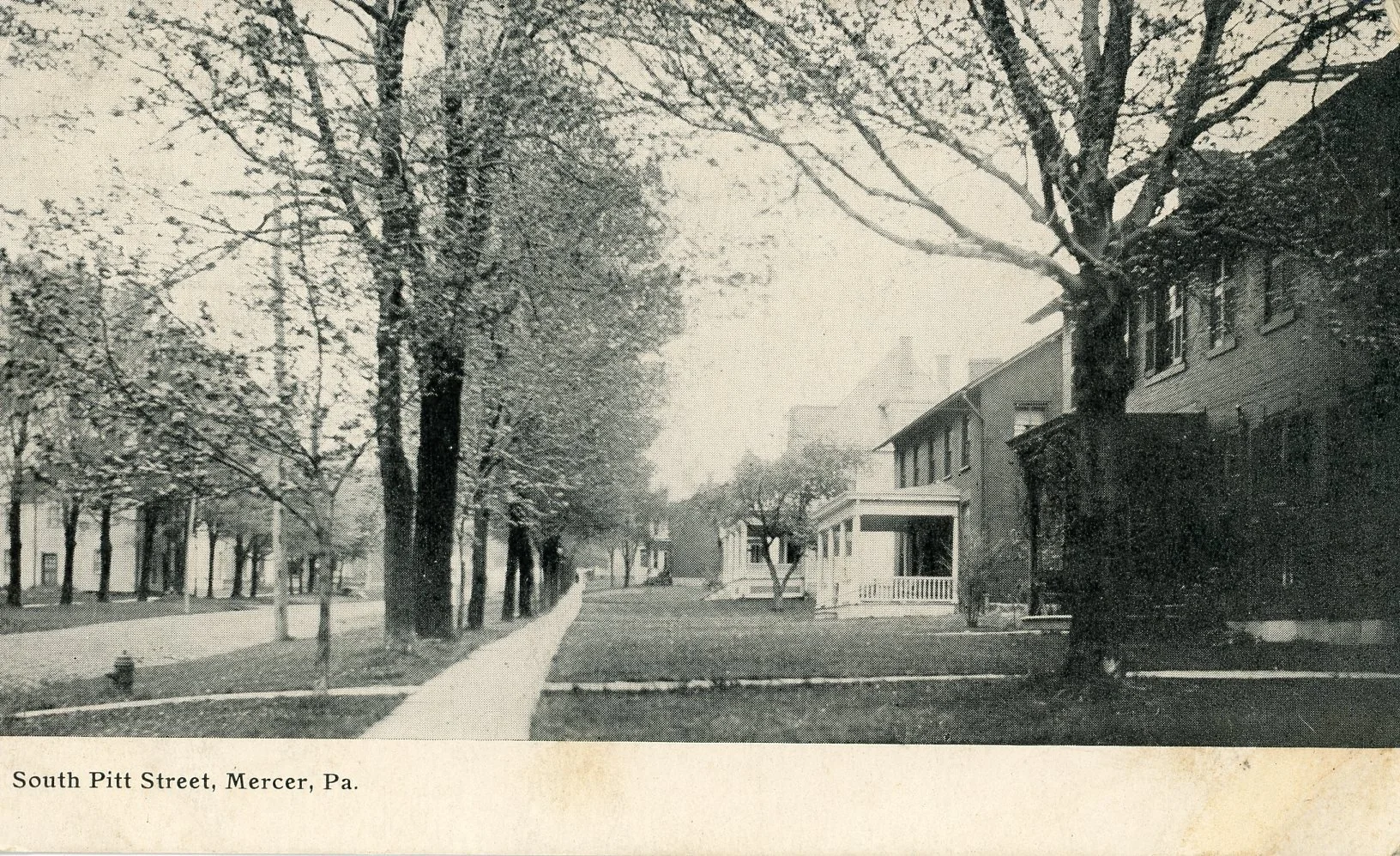 A black and white photograph of South Pitt Street in Mercer, Pennsylvania, taken from a historic time period. The street features large trees with branches extending over the sidewalk, and old residential buildings on the right and left sides.