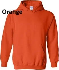 hoodie orange.jpg
