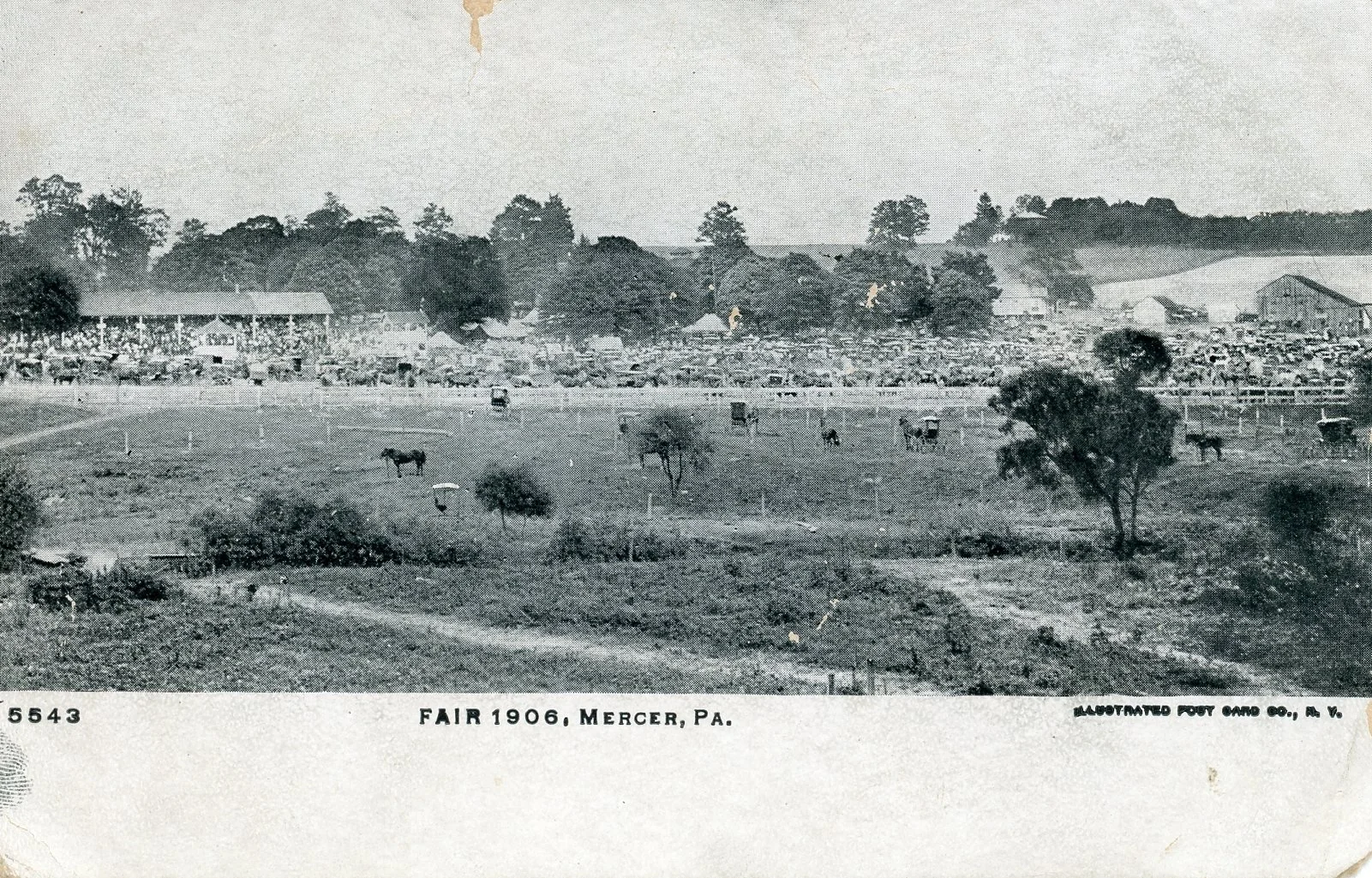 A black and white photo of the Mercer County Fair in 1906, showing a rural scene with grazing horses, trees, and farm buildings in the background.