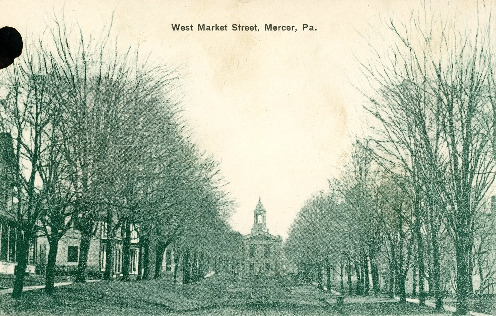 Black and white photograph of a tree-lined street with a central building featuring a steeple in Mercer, Pennsylvania, labeled 'West Market Street, Mercer, Pa.'