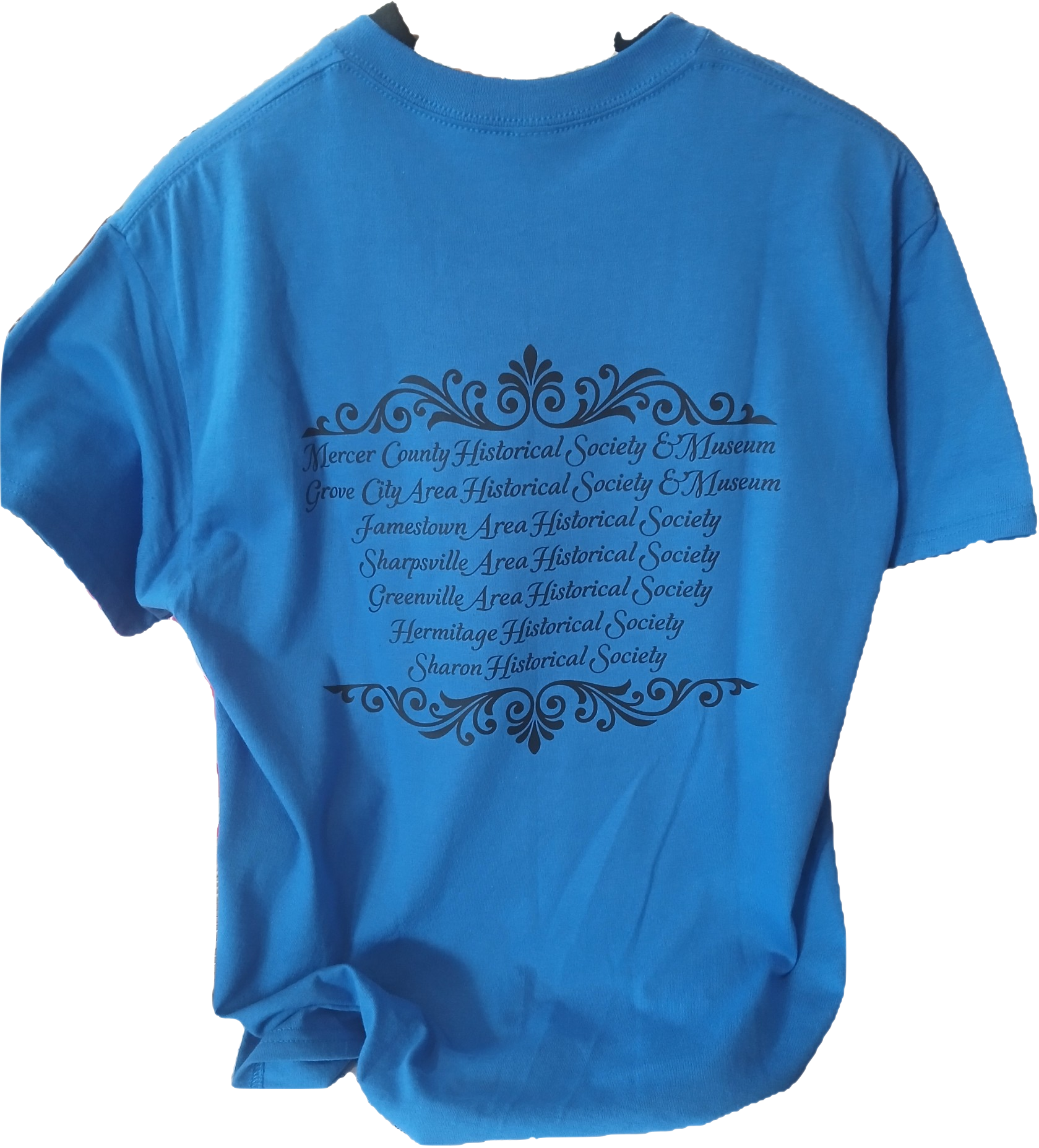 t shirt 250 back.png