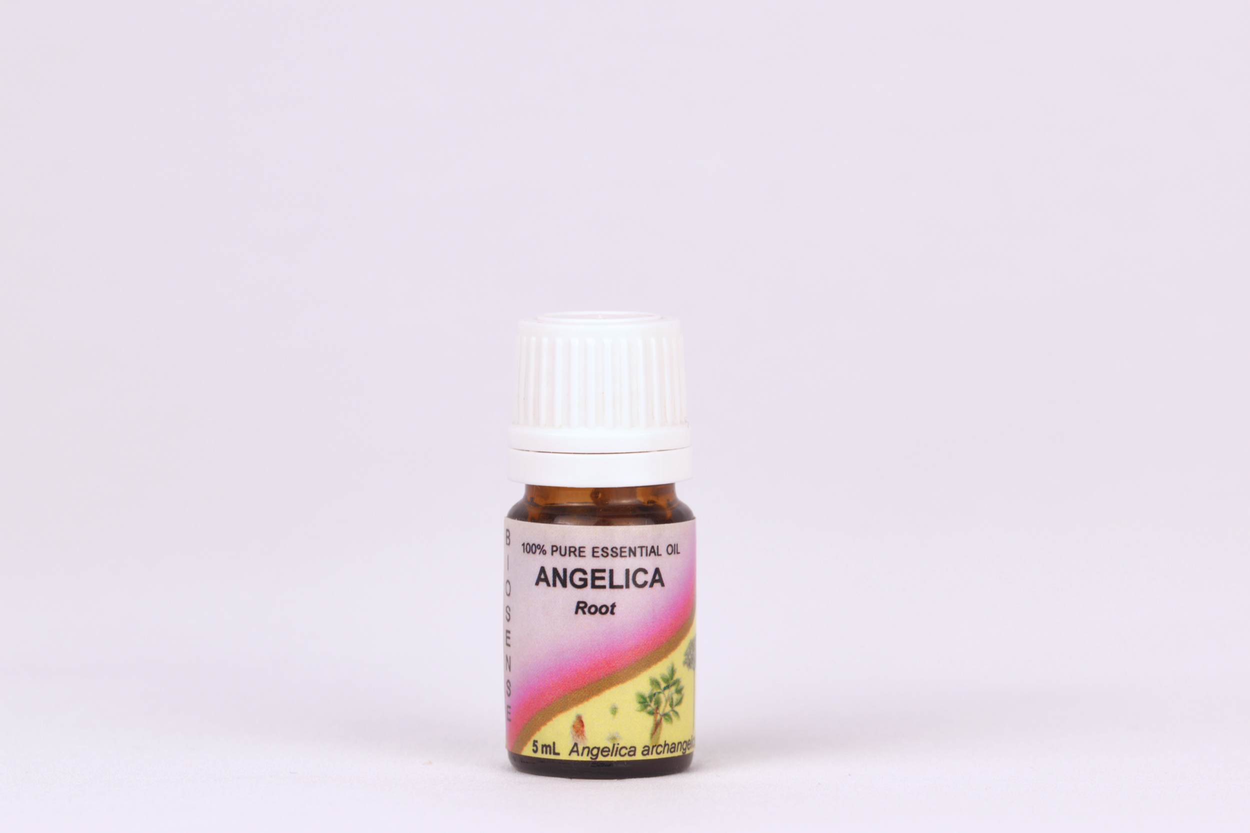 Angelica 13ml (B).png