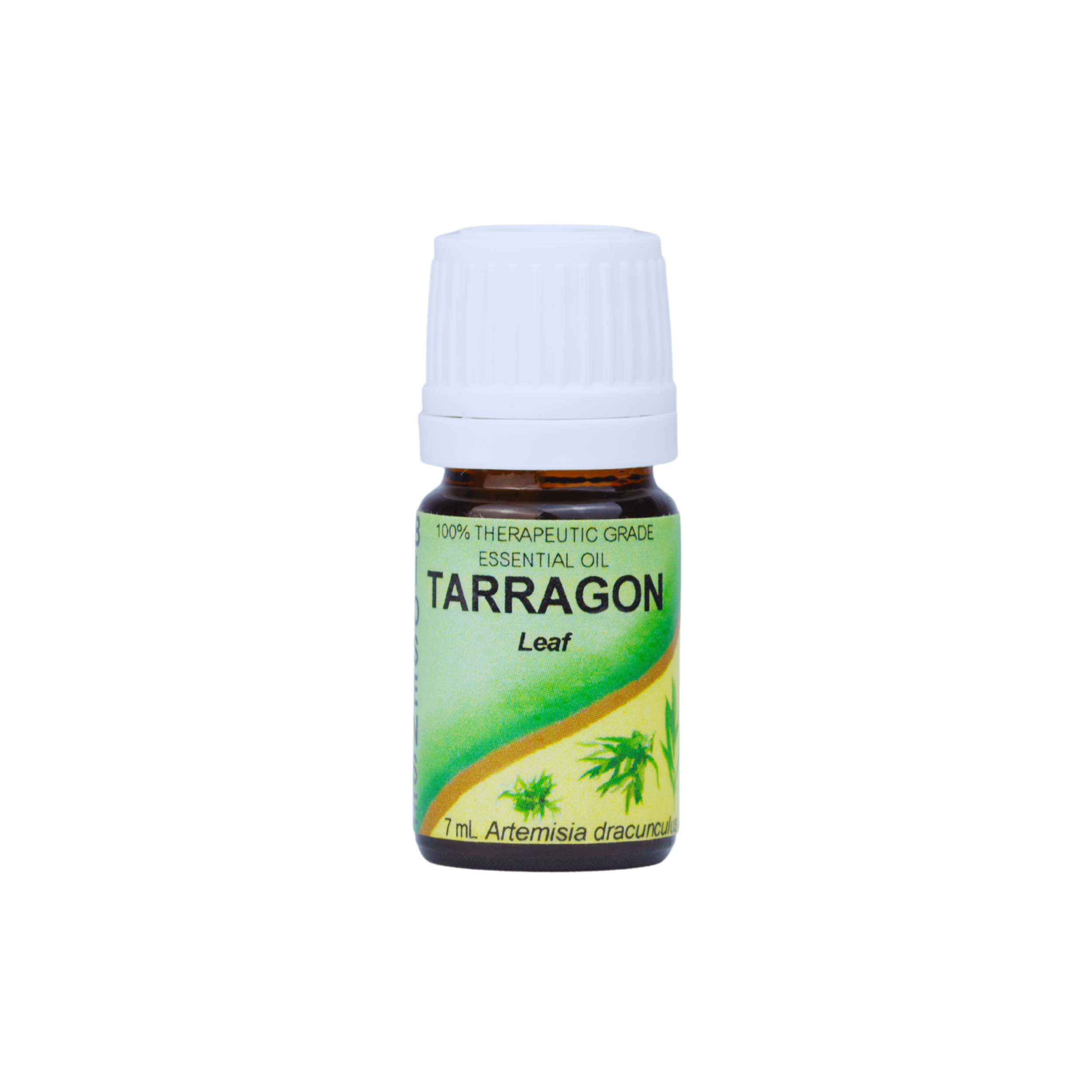 TARRAGON