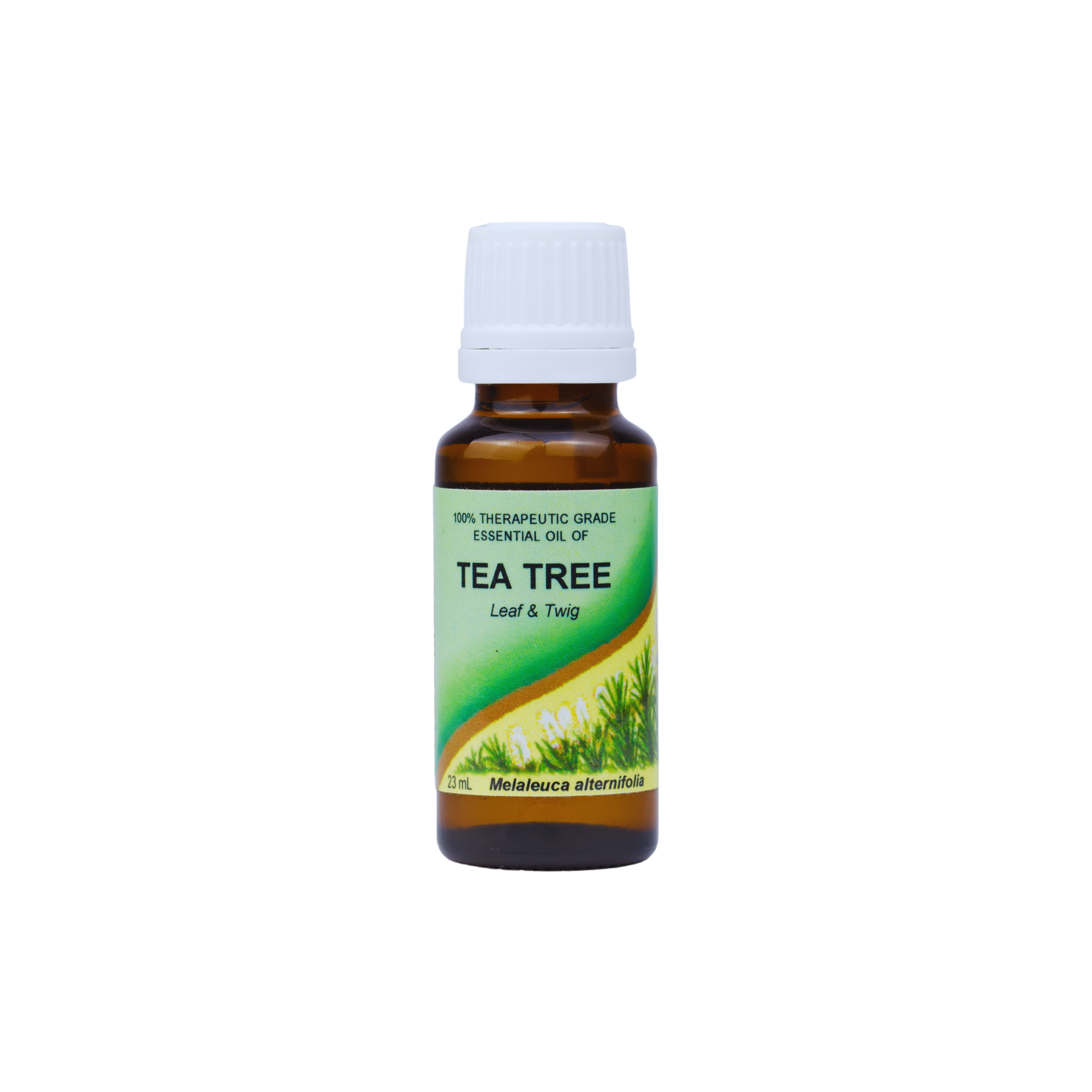 TEA TREE